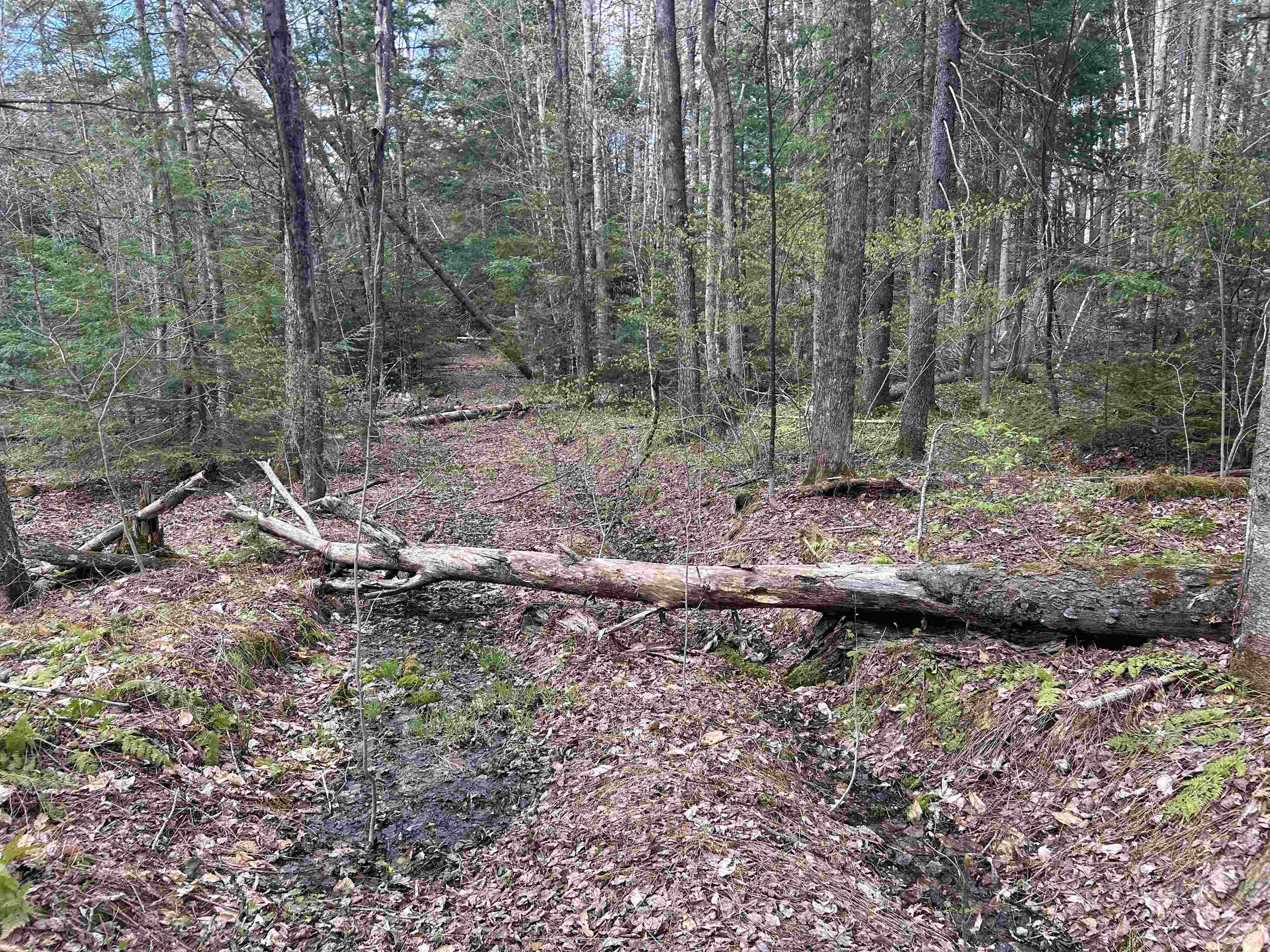 00 Boynton Road Property Photo 11