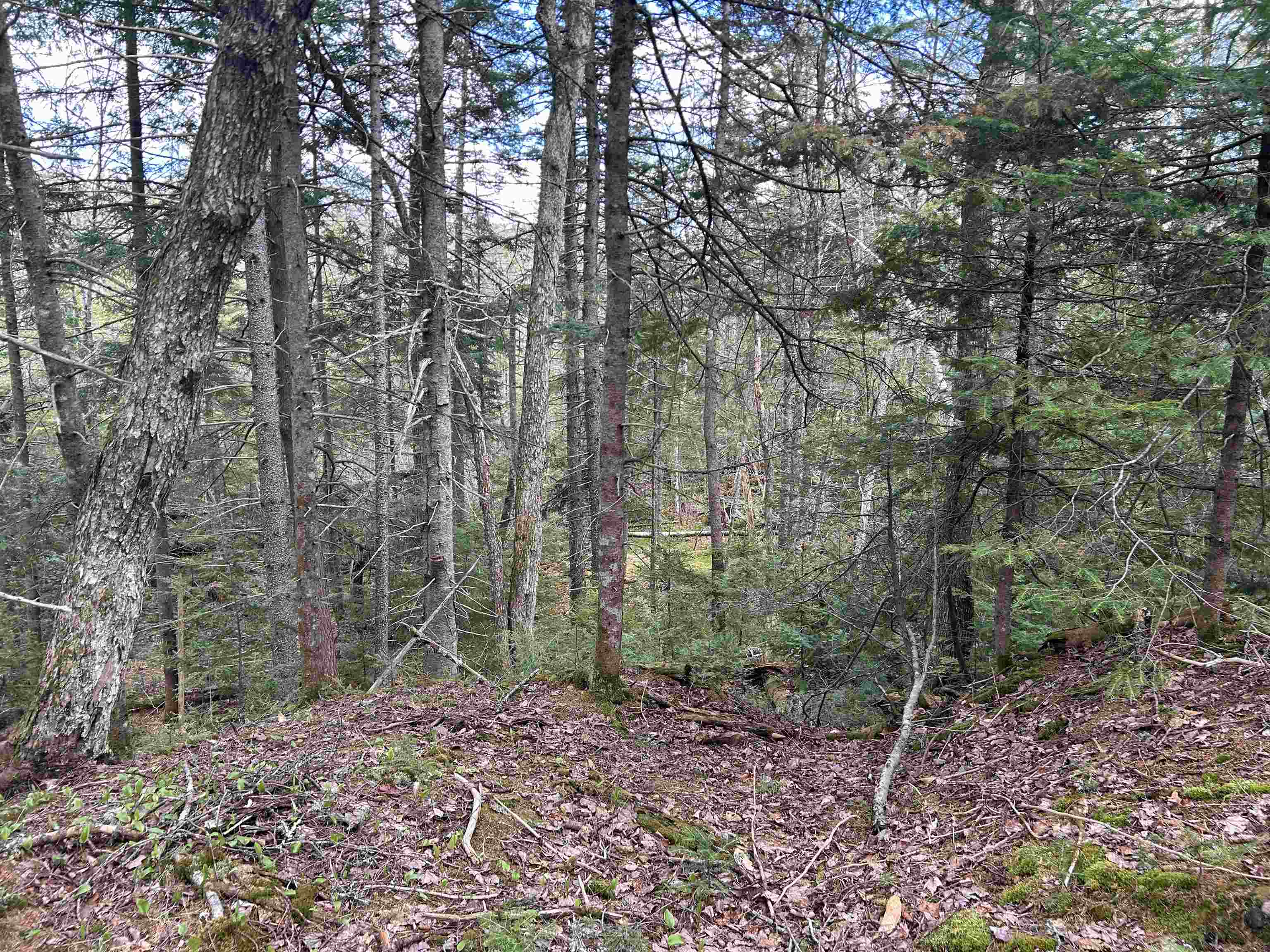 00 Boynton Road Property Photo 14