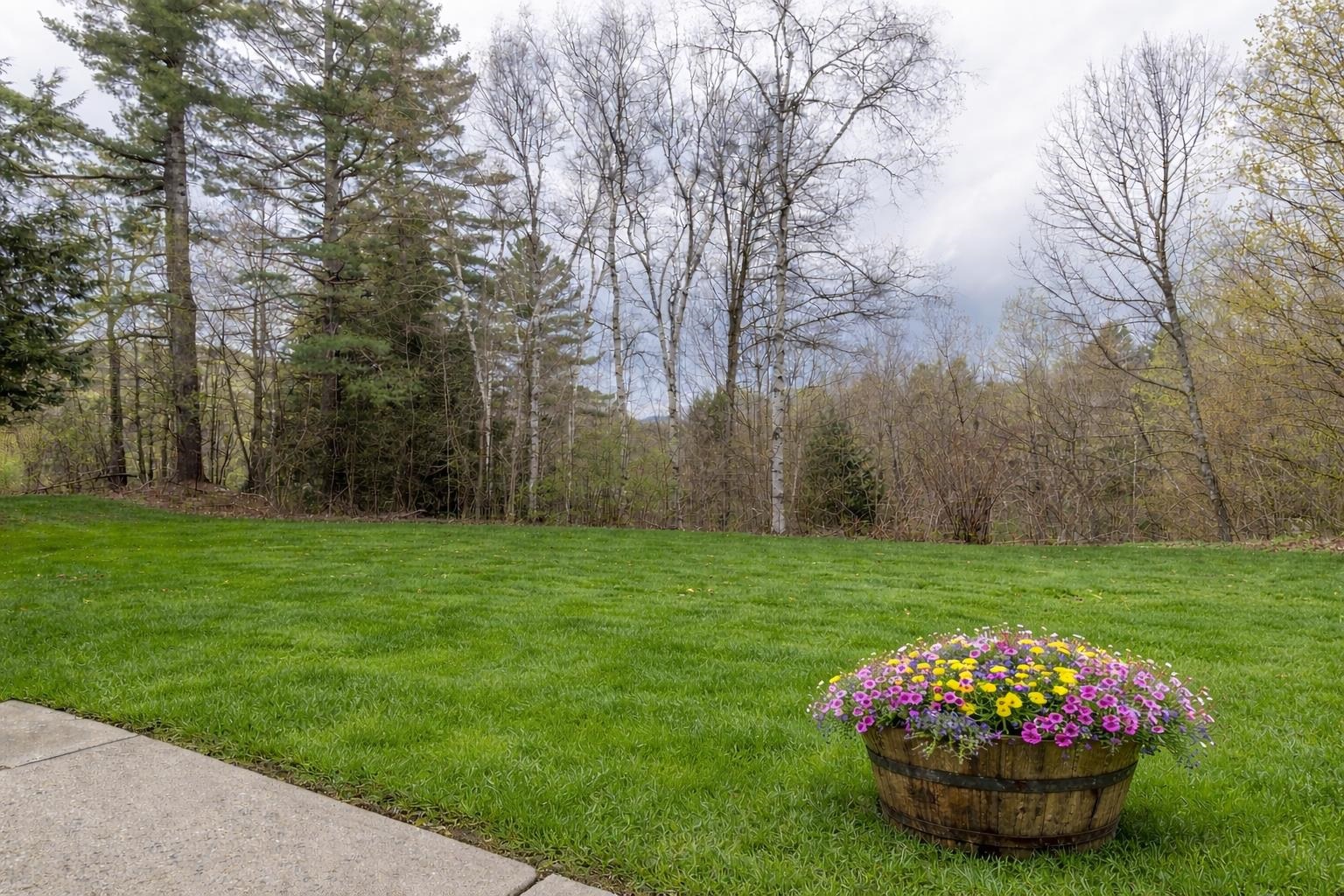 277 Topnotch Drive Property Photo 28