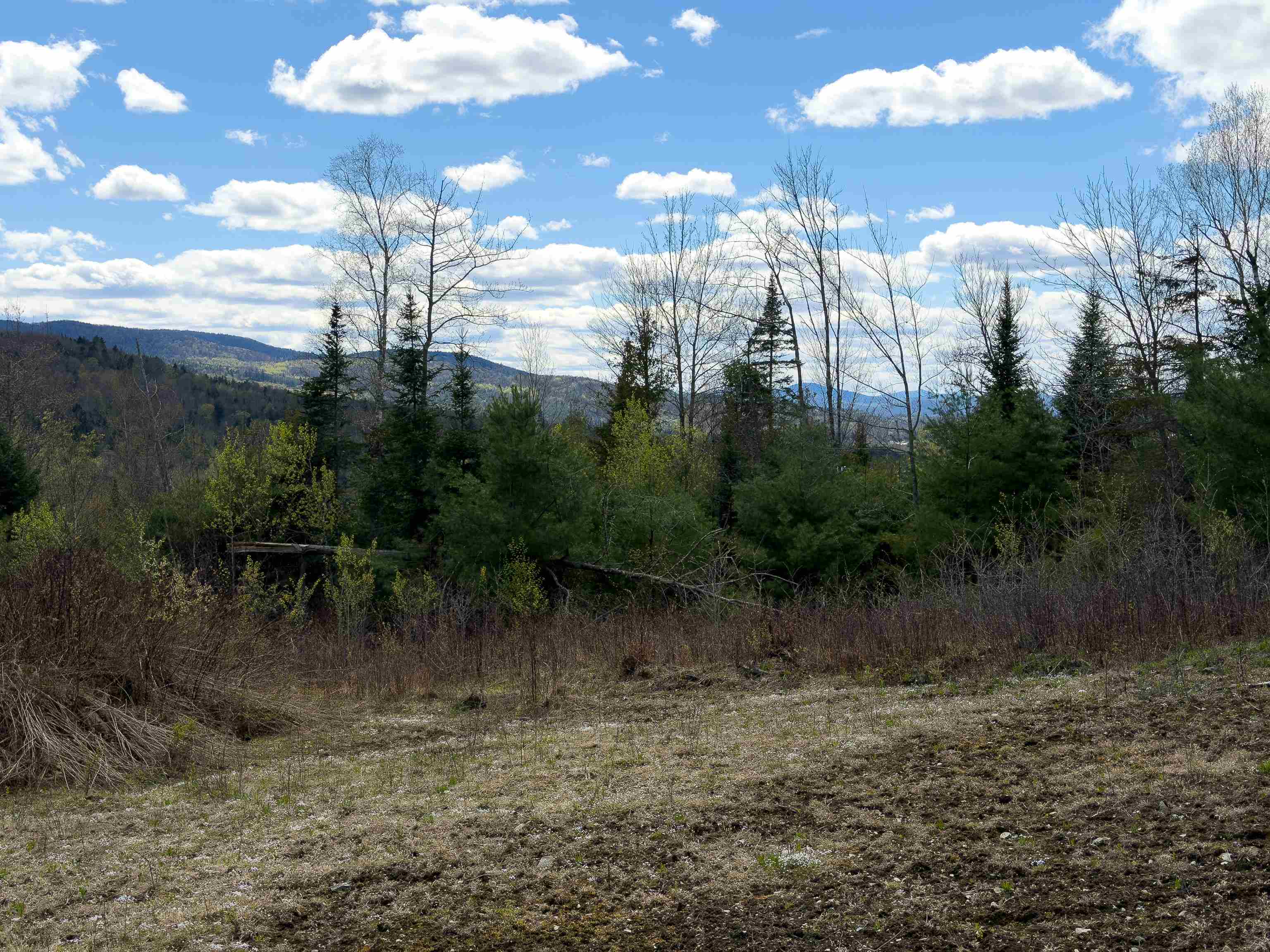 Lot 2 Moore Dam Road Property Photo 4
