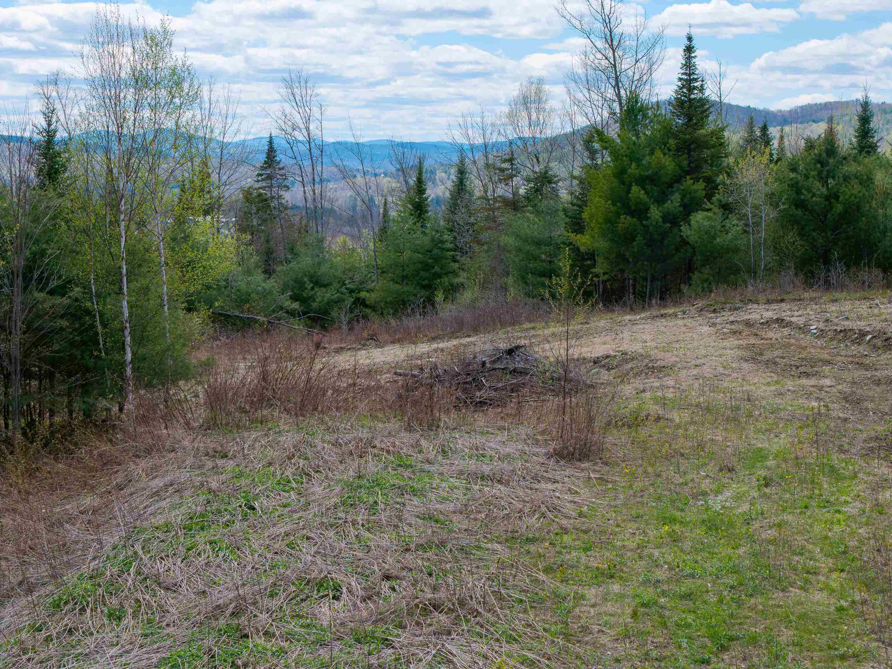 Lot 2 Moore Dam Road Property Photo 19