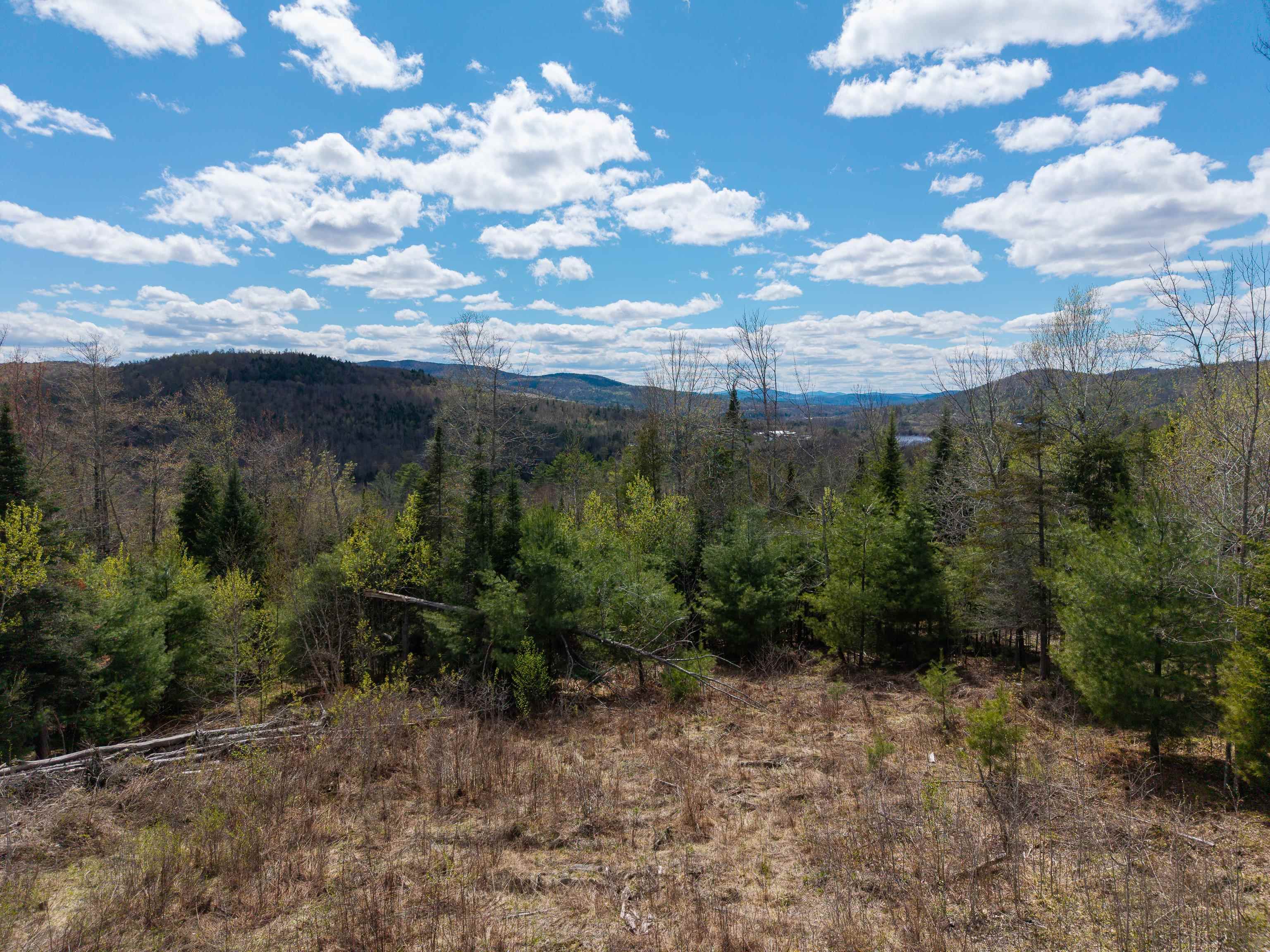 Lot 2 Moore Dam Road Property Photo 20