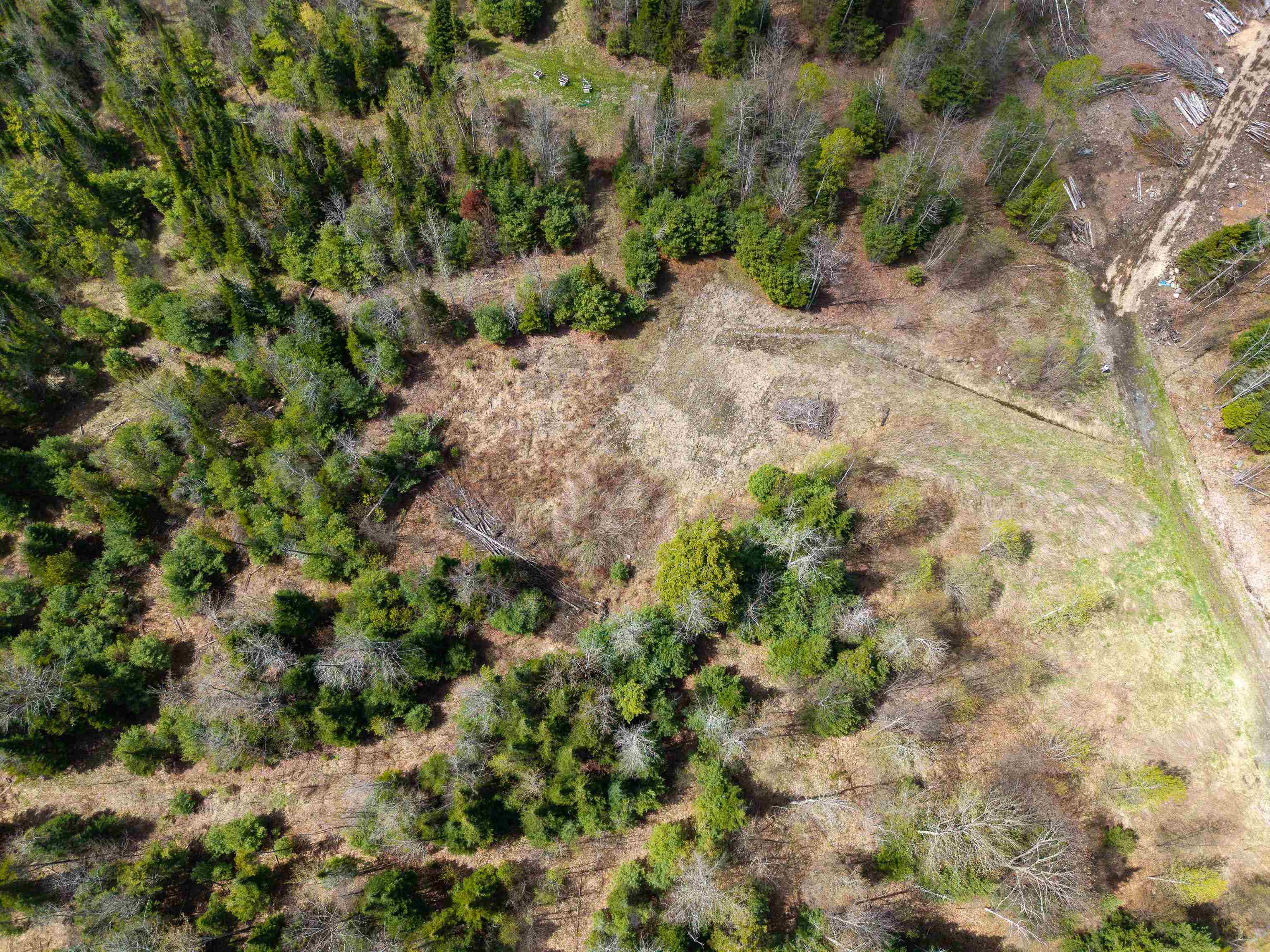Lot 2 Moore Dam Road Property Photo 21