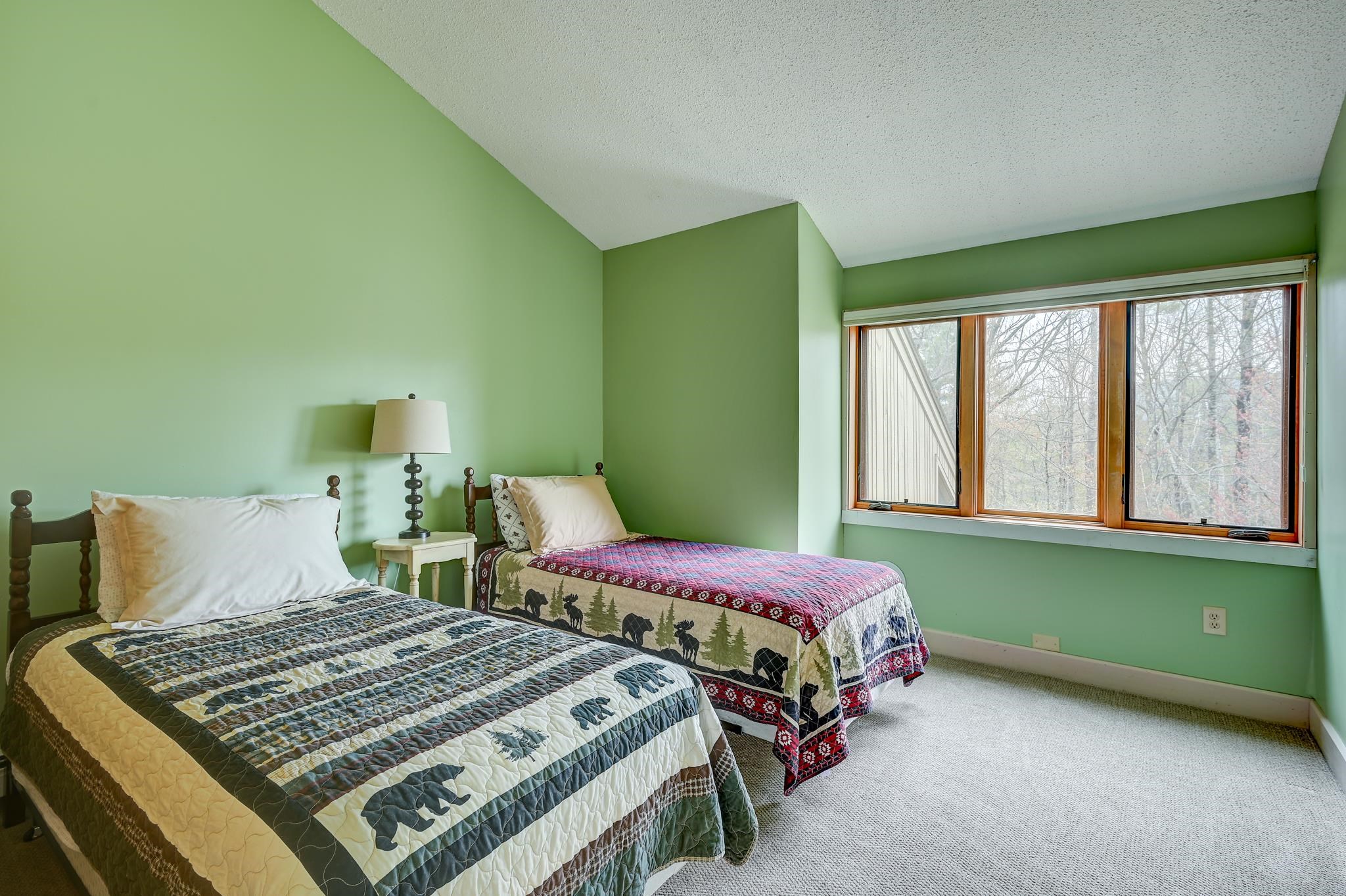 28 Cranmore Woods Lane Property Photo 33