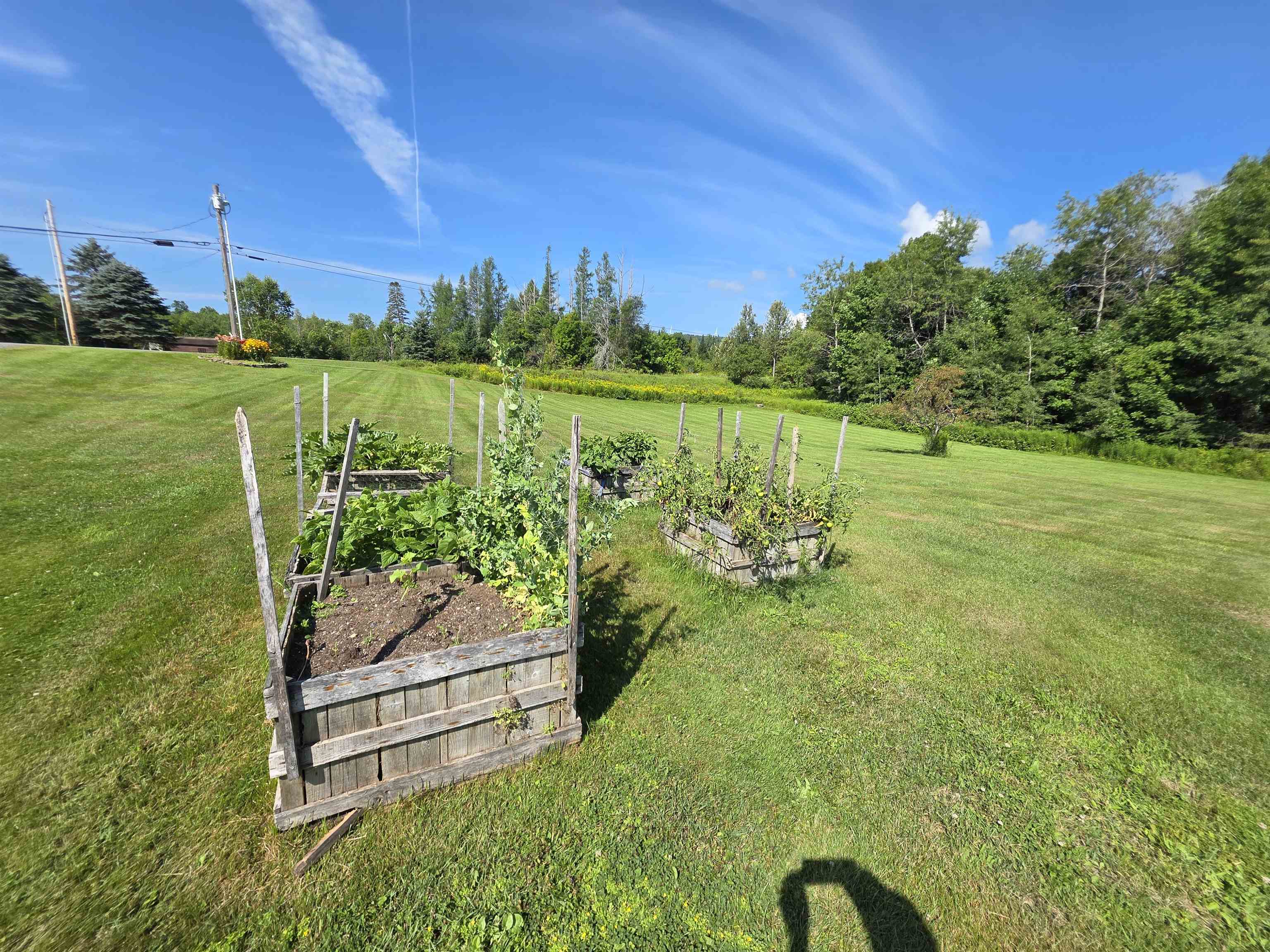 2810 Underpass Road Property Photo 30