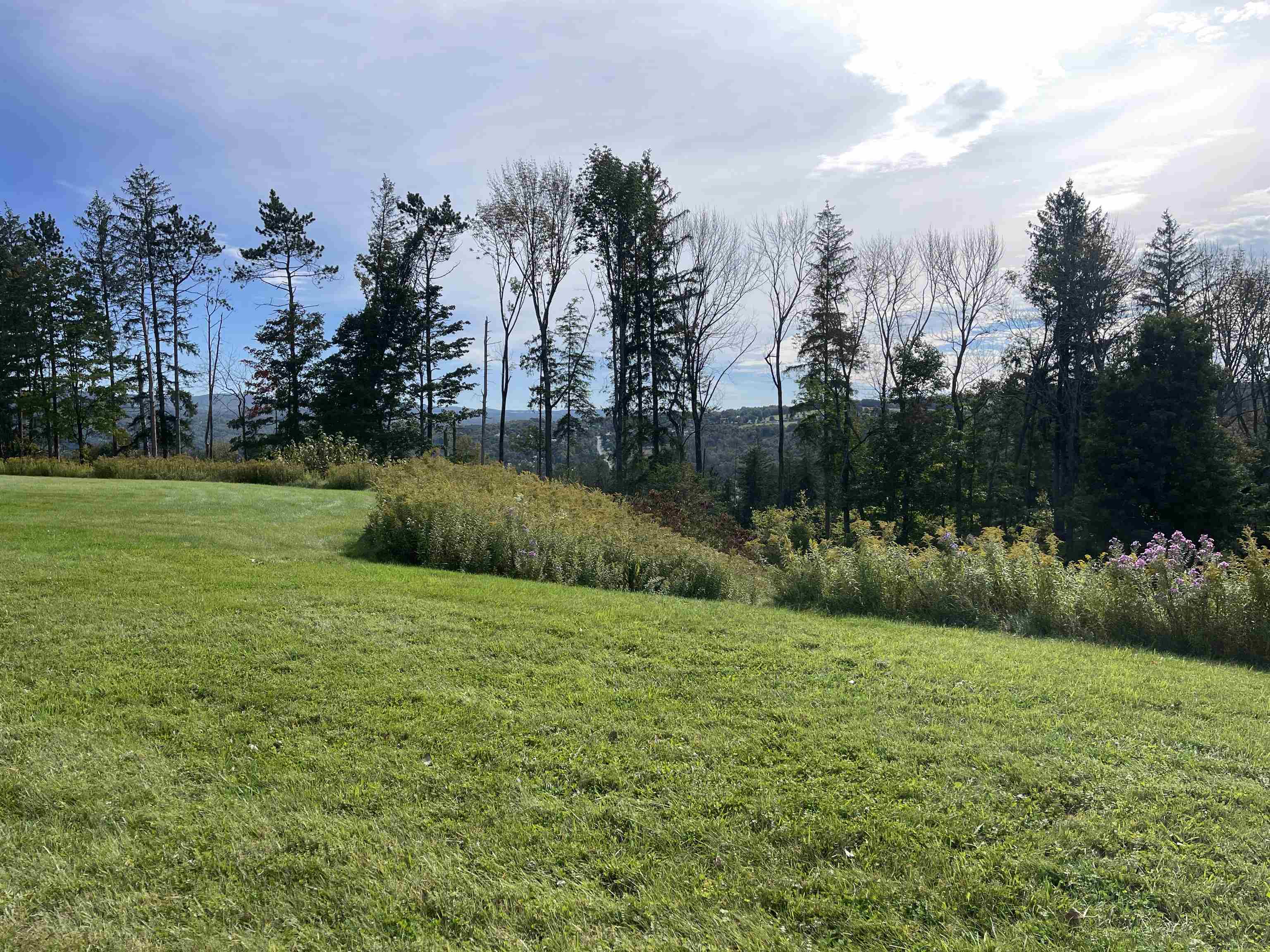 00 Buena Vista Circle Property Photo 4