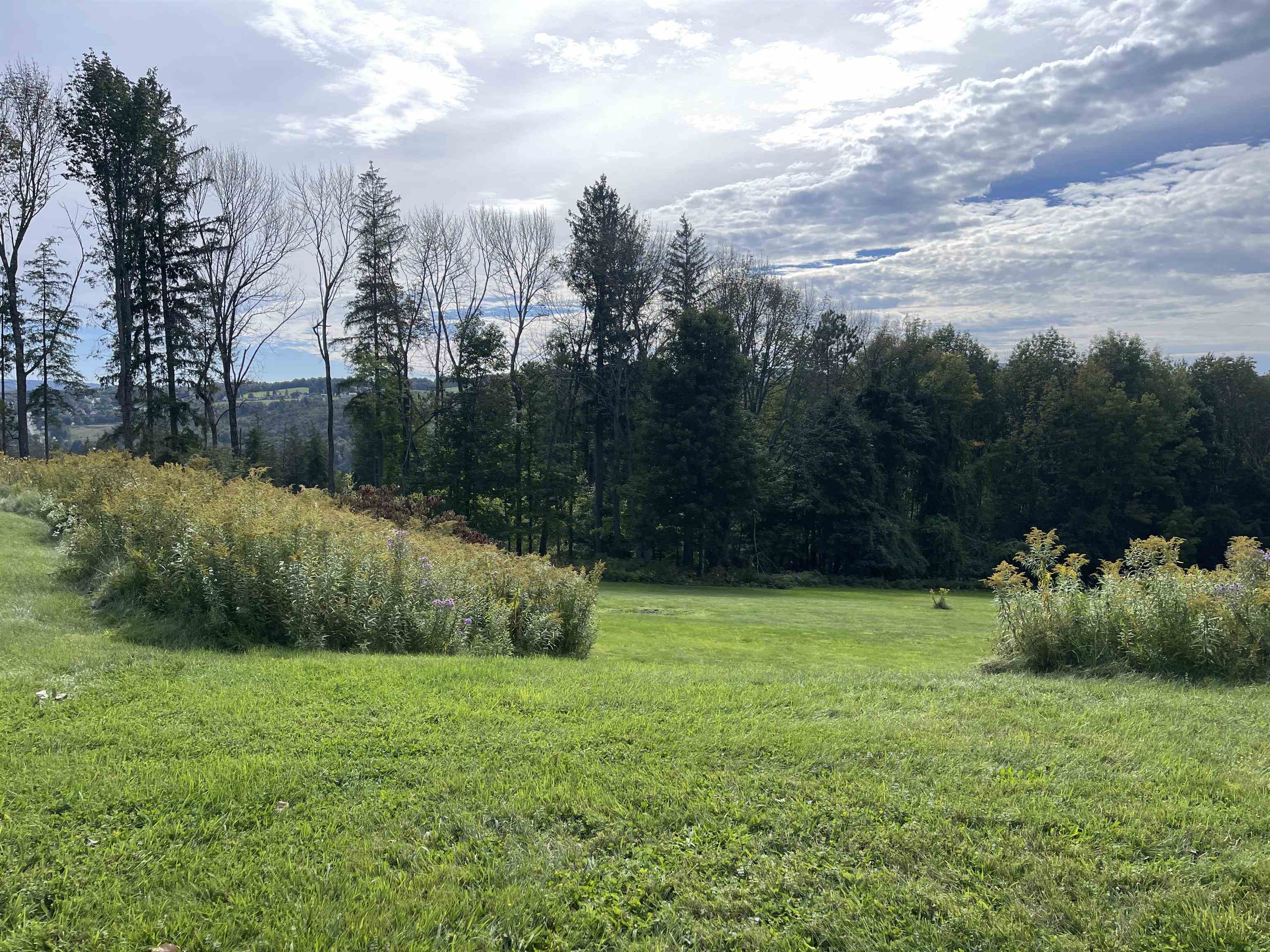 00 Buena Vista Circle Property Photo 7