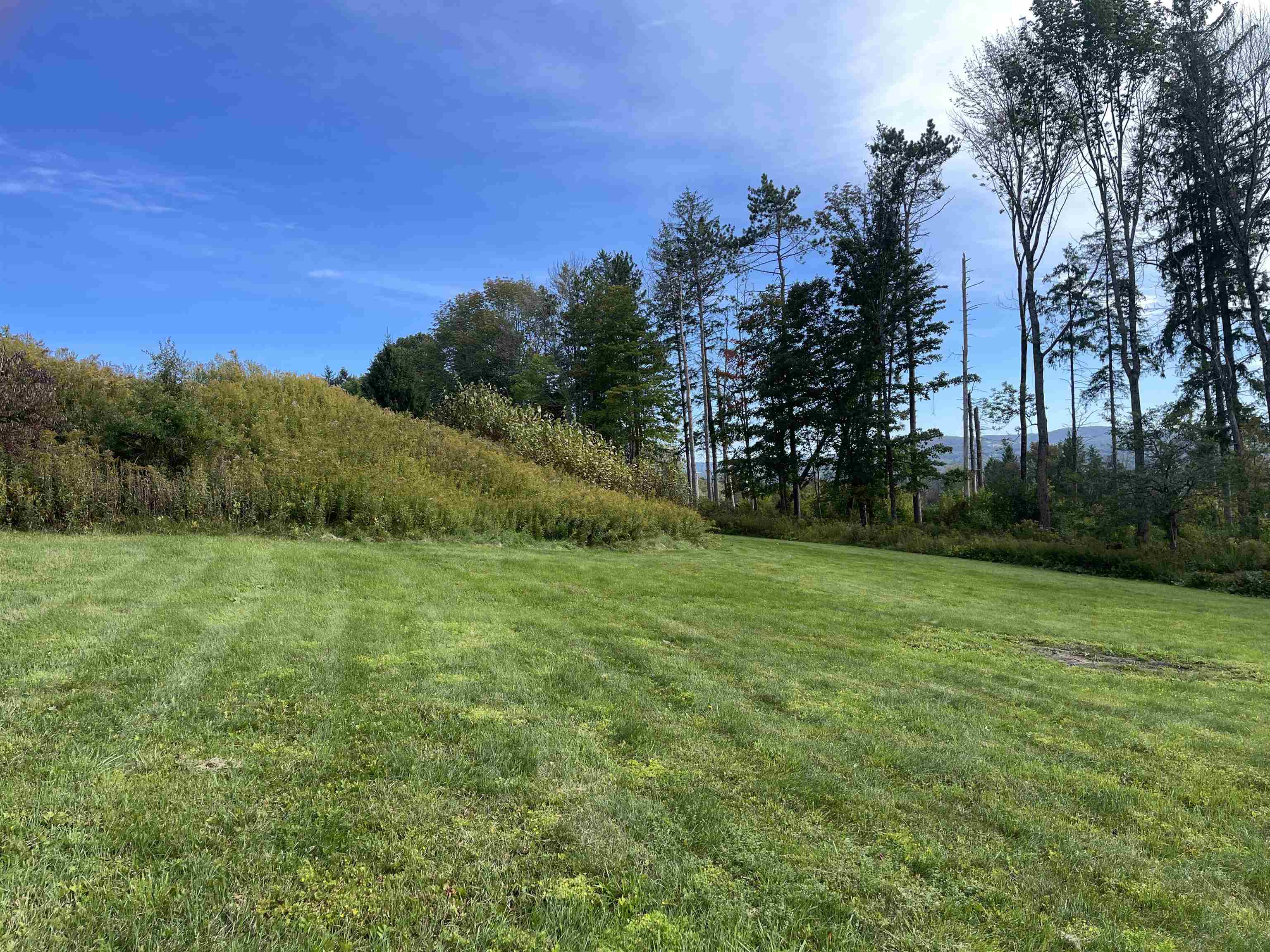 00 Buena Vista Circle Property Photo 9