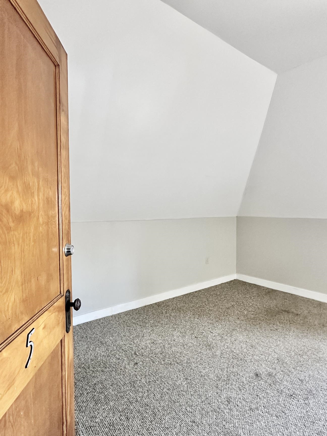66 Langdon Street Property Photo 41