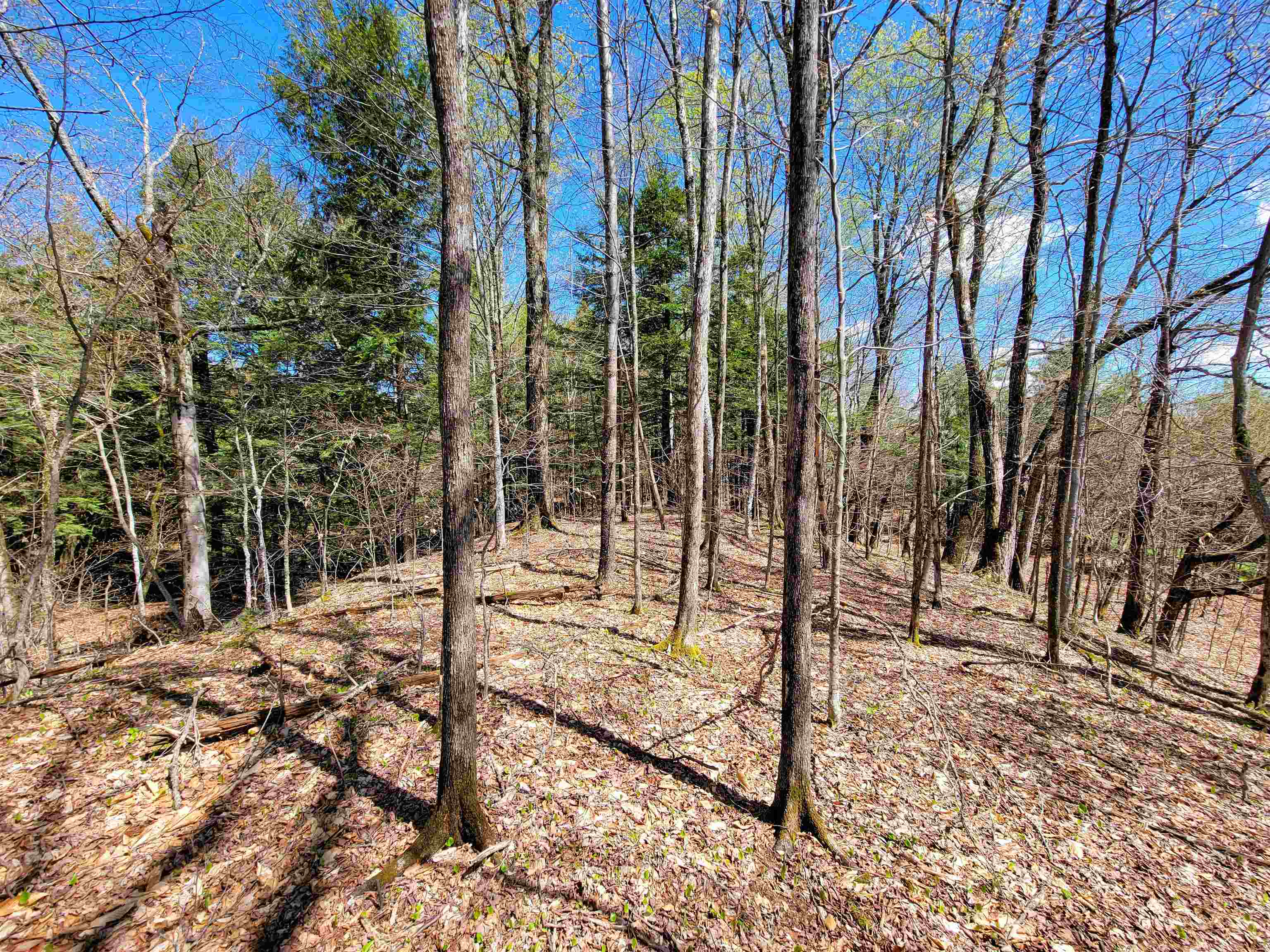 667 Cemetery Street Property Photo 37