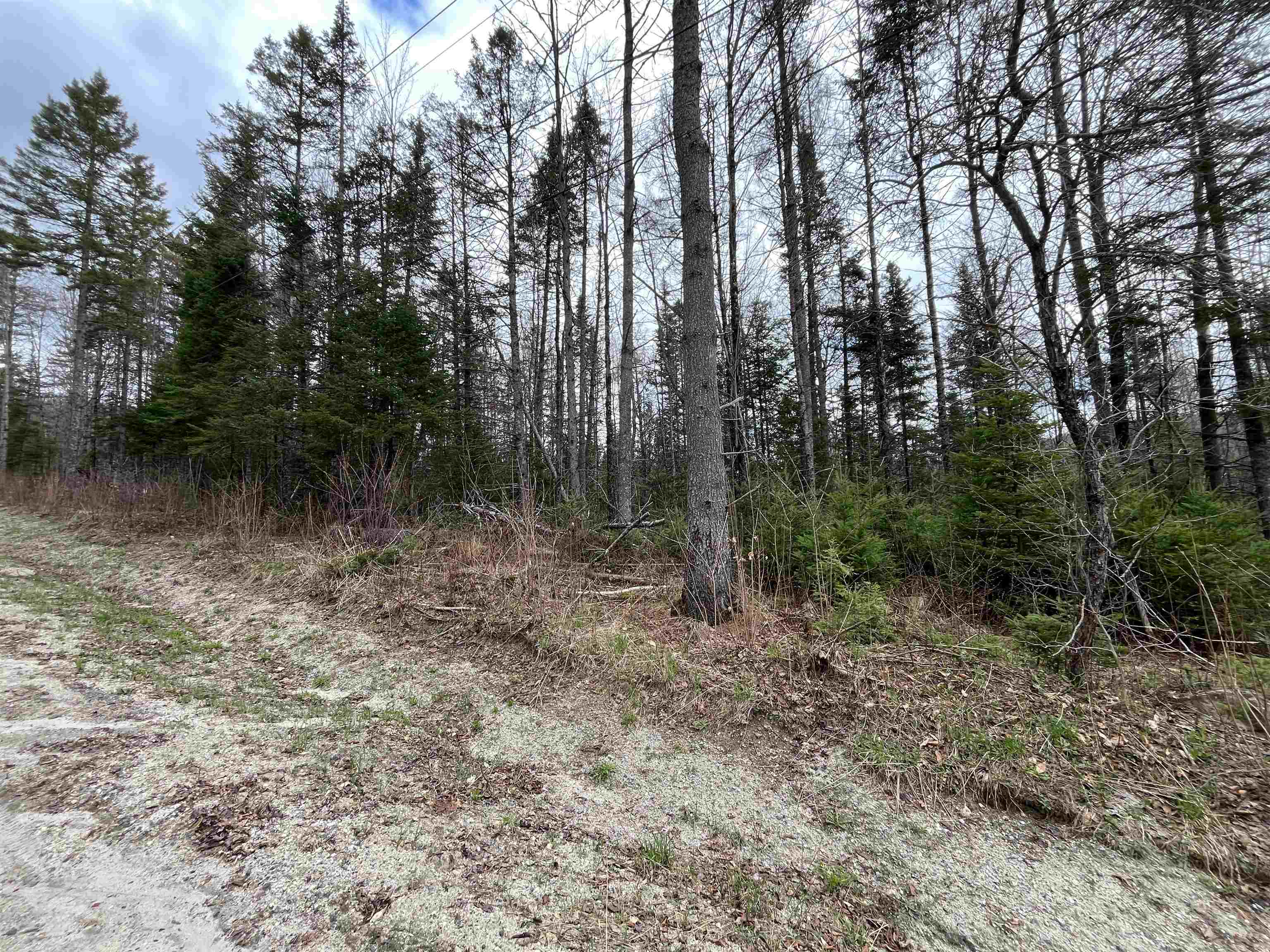Tbd Center Pond Road Property Photo 3