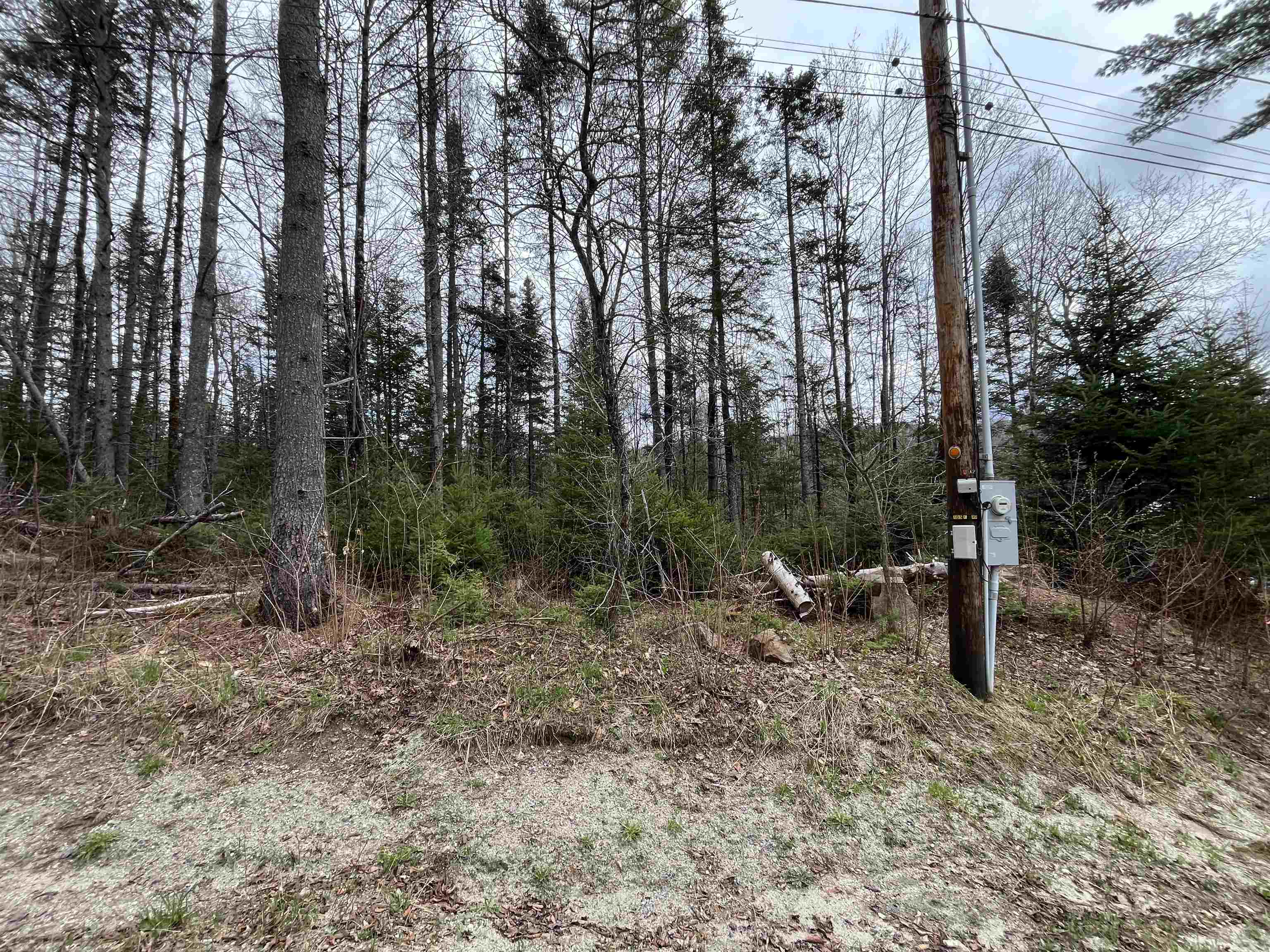 Tbd Center Pond Road Property Photo 4