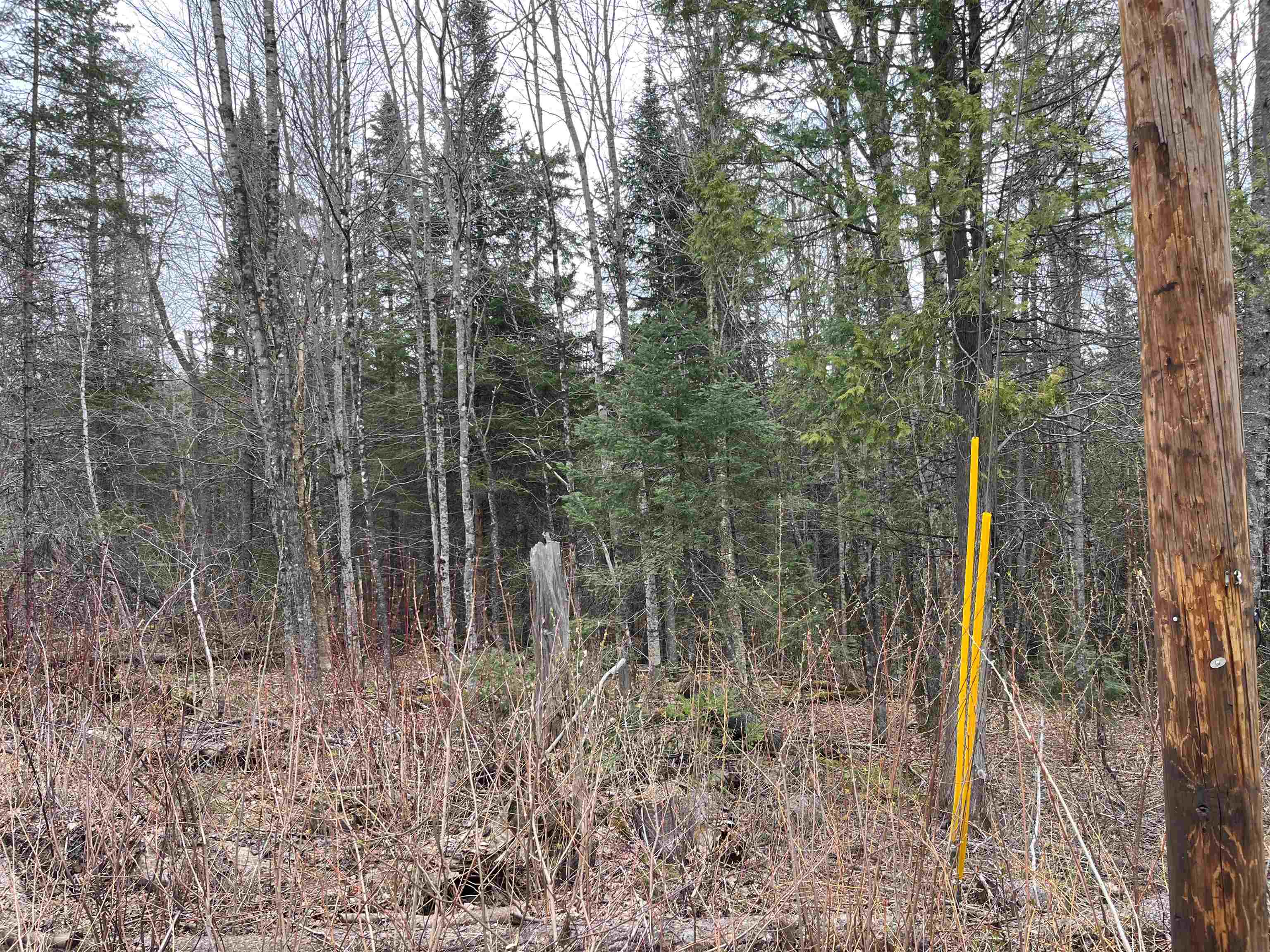 Tbd Center Pond Road Property Photo 8