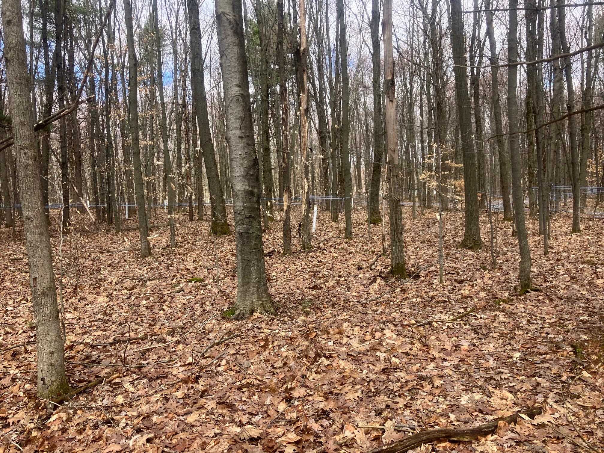 74 Jedware Circle Property Photo 12