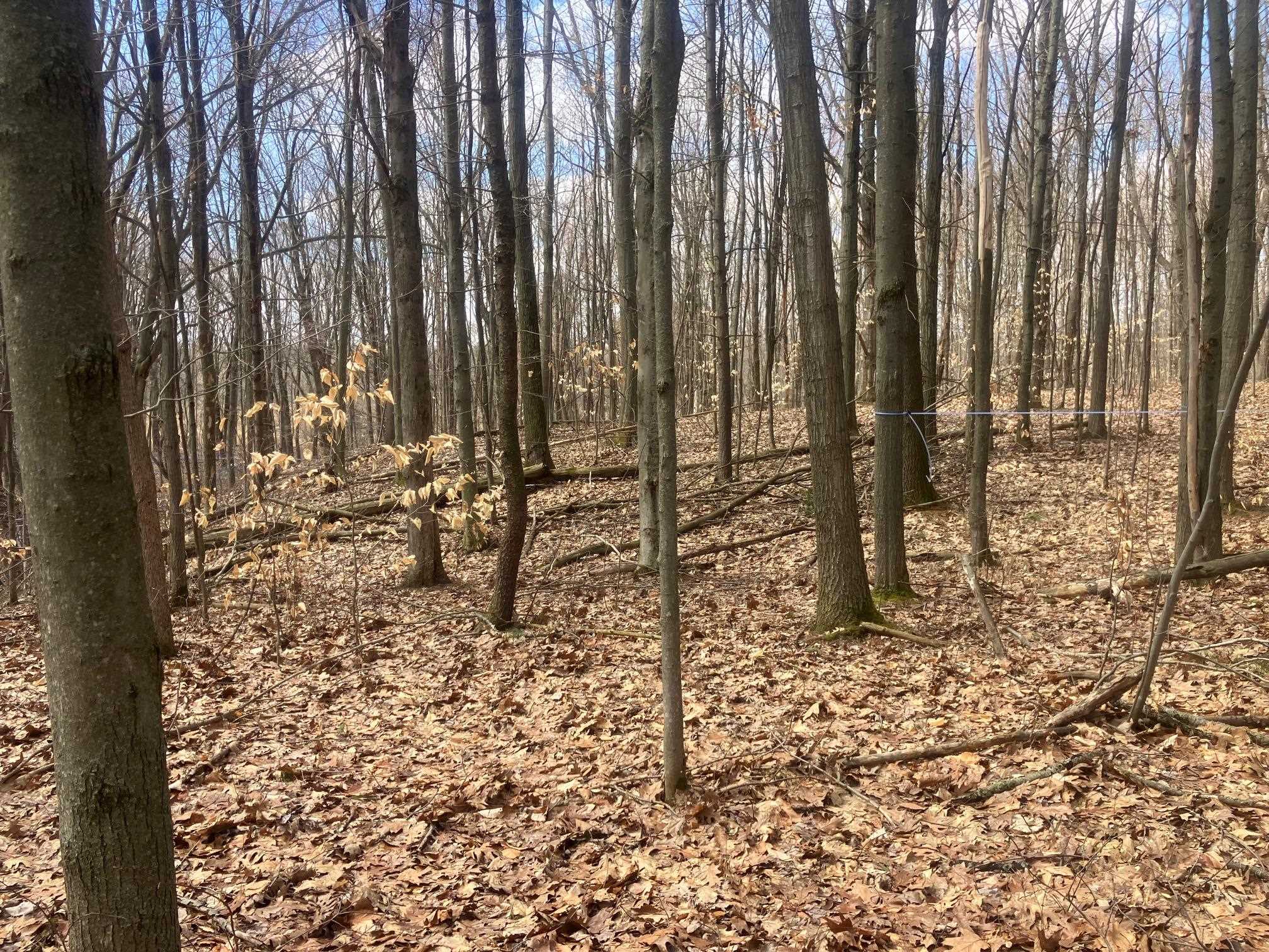 74 Jedware Circle Property Photo 13