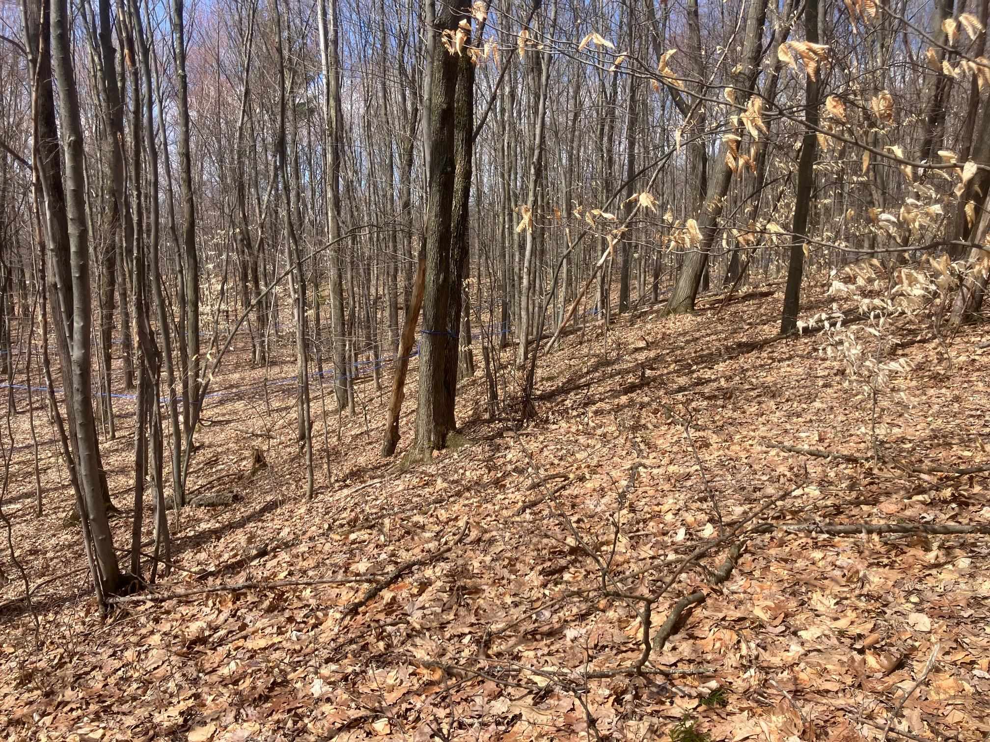 74 Jedware Circle Property Photo 14