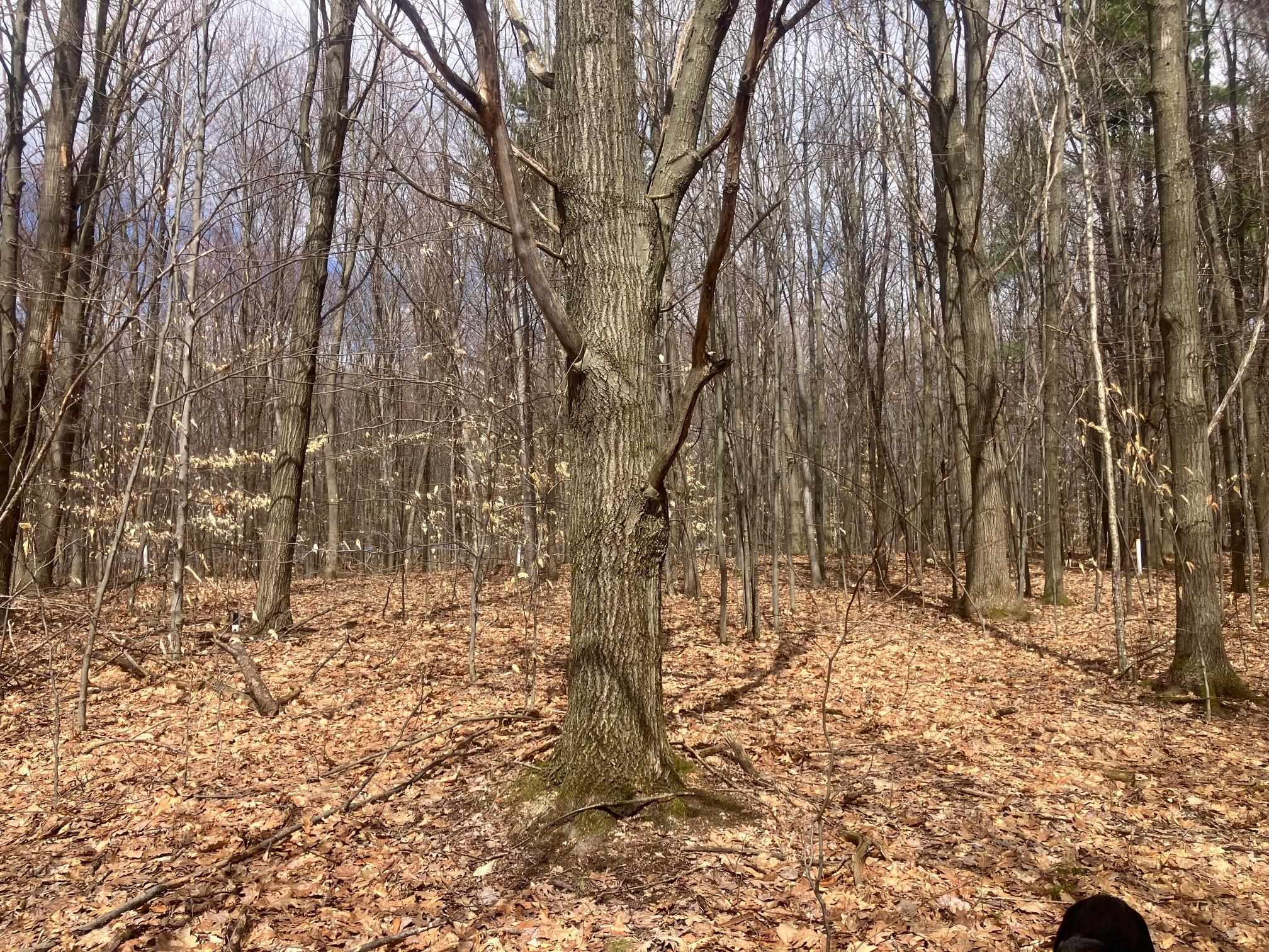 74 Jedware Circle Property Photo 15
