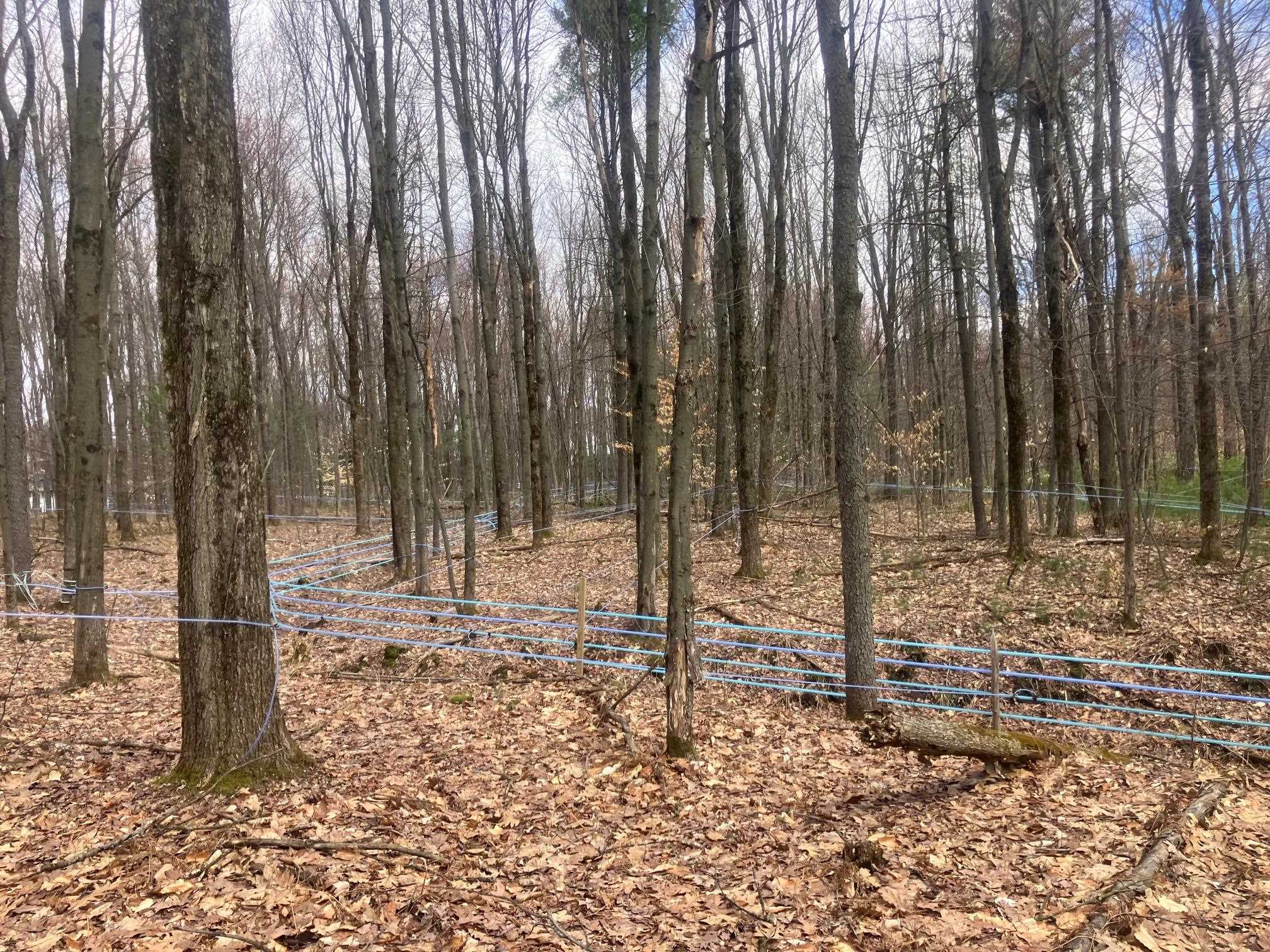 74 Jedware Circle Property Photo 16