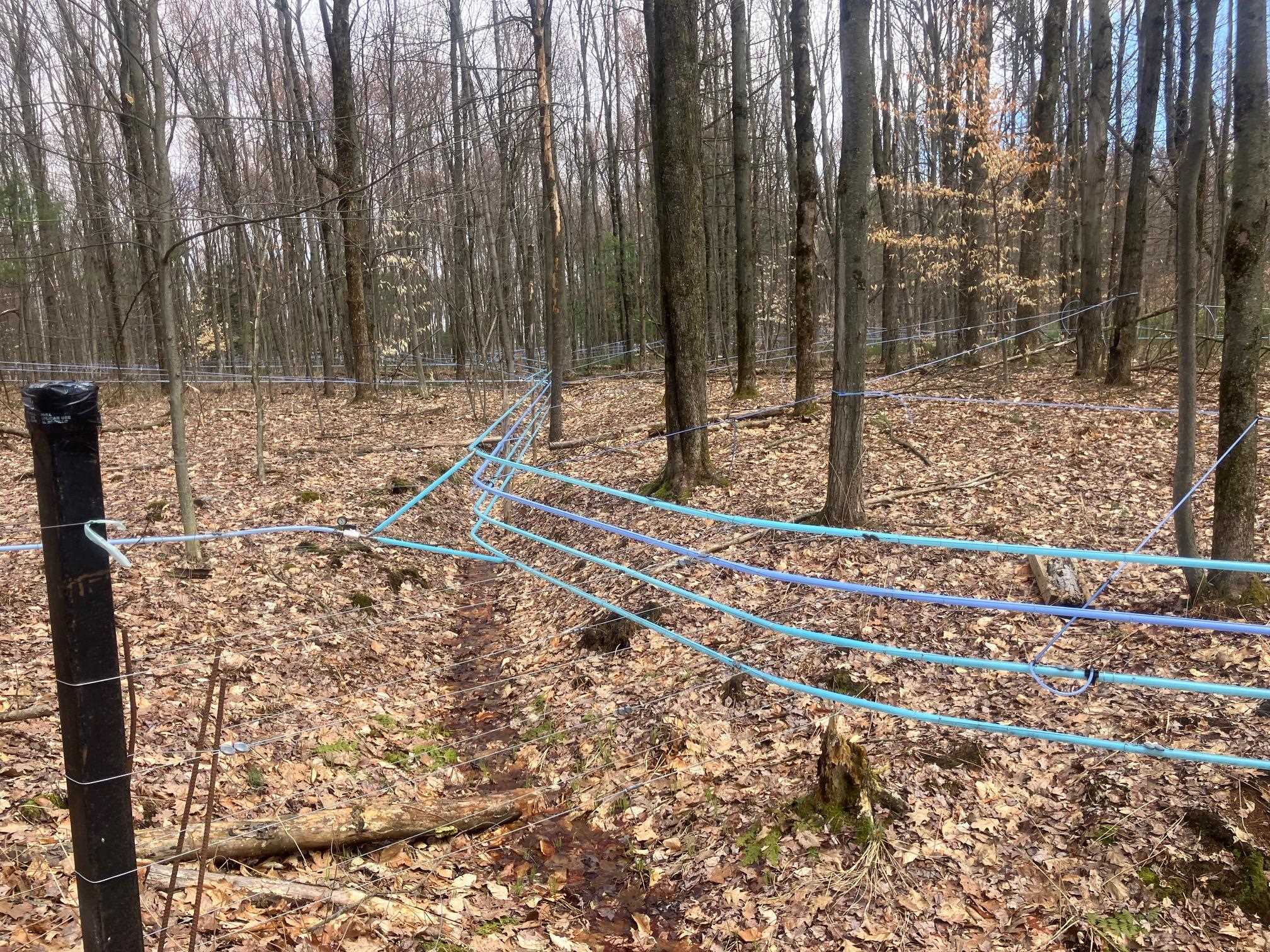 74 Jedware Circle Property Photo 17