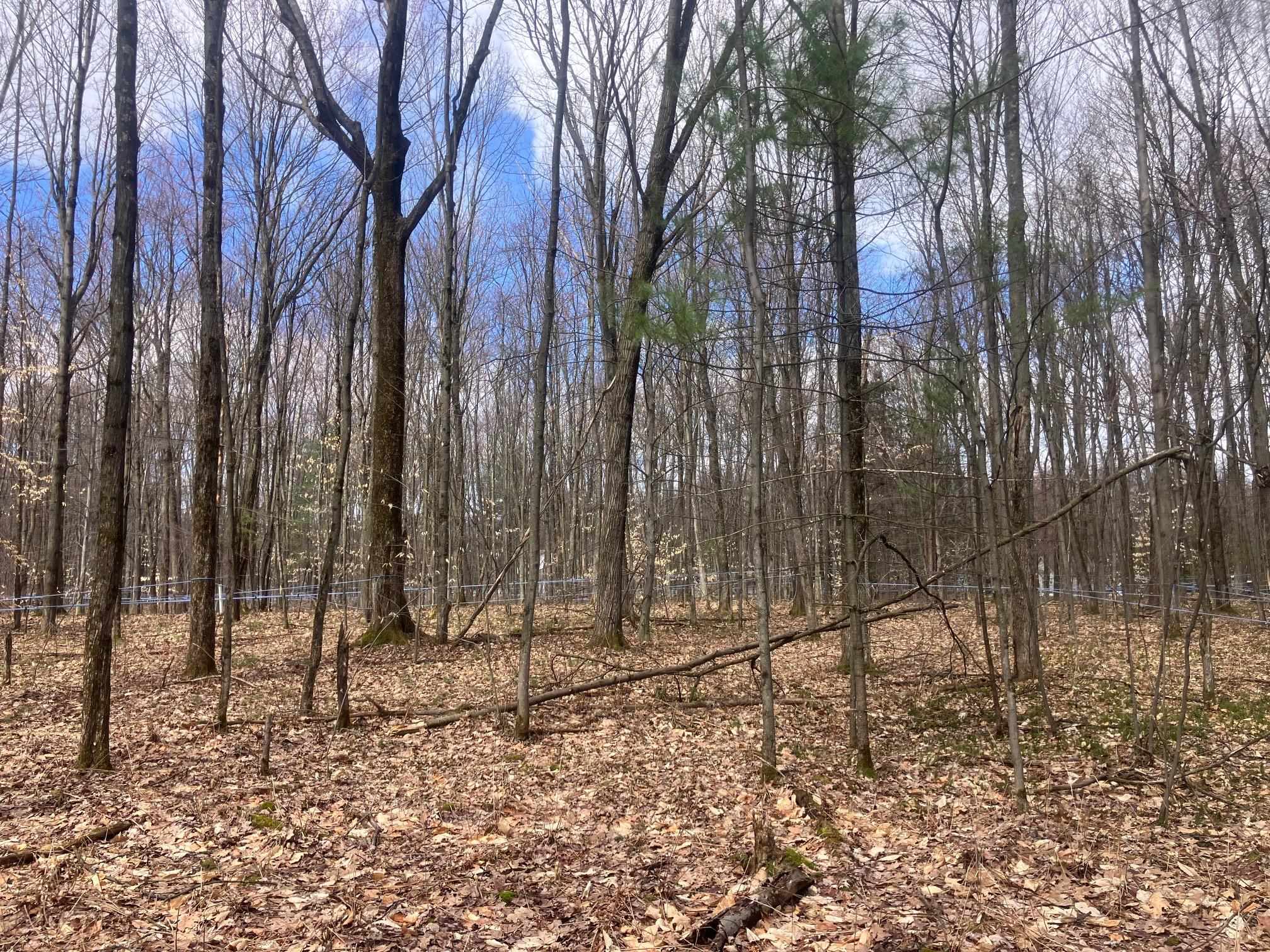 74 Jedware Circle Property Photo 18