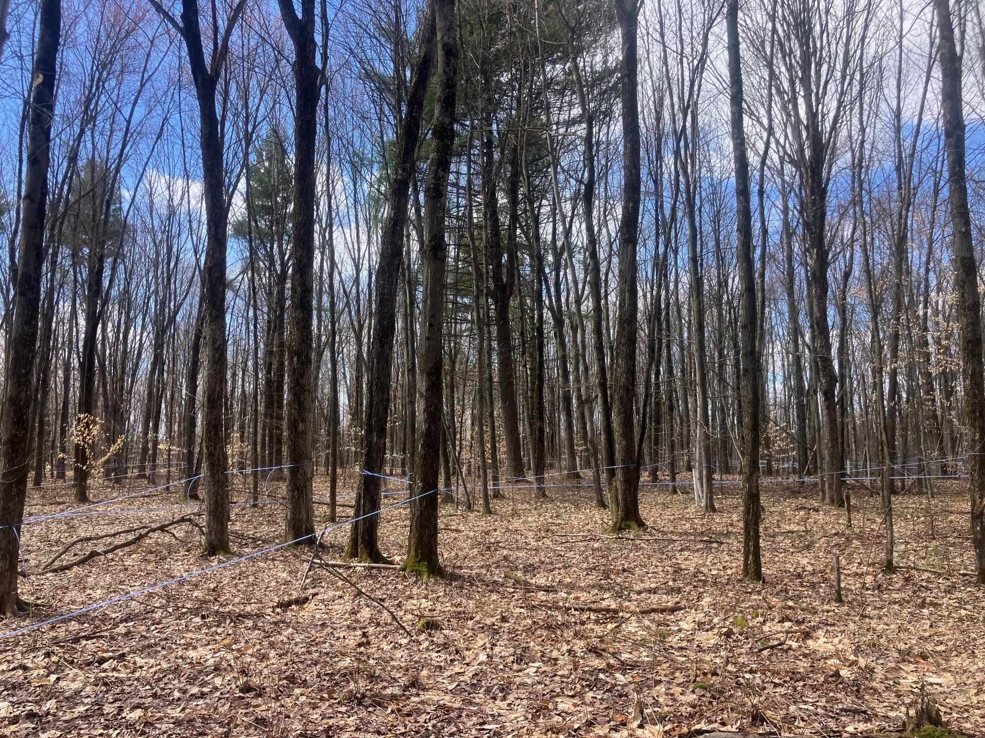 74 Jedware Circle Property Photo 19