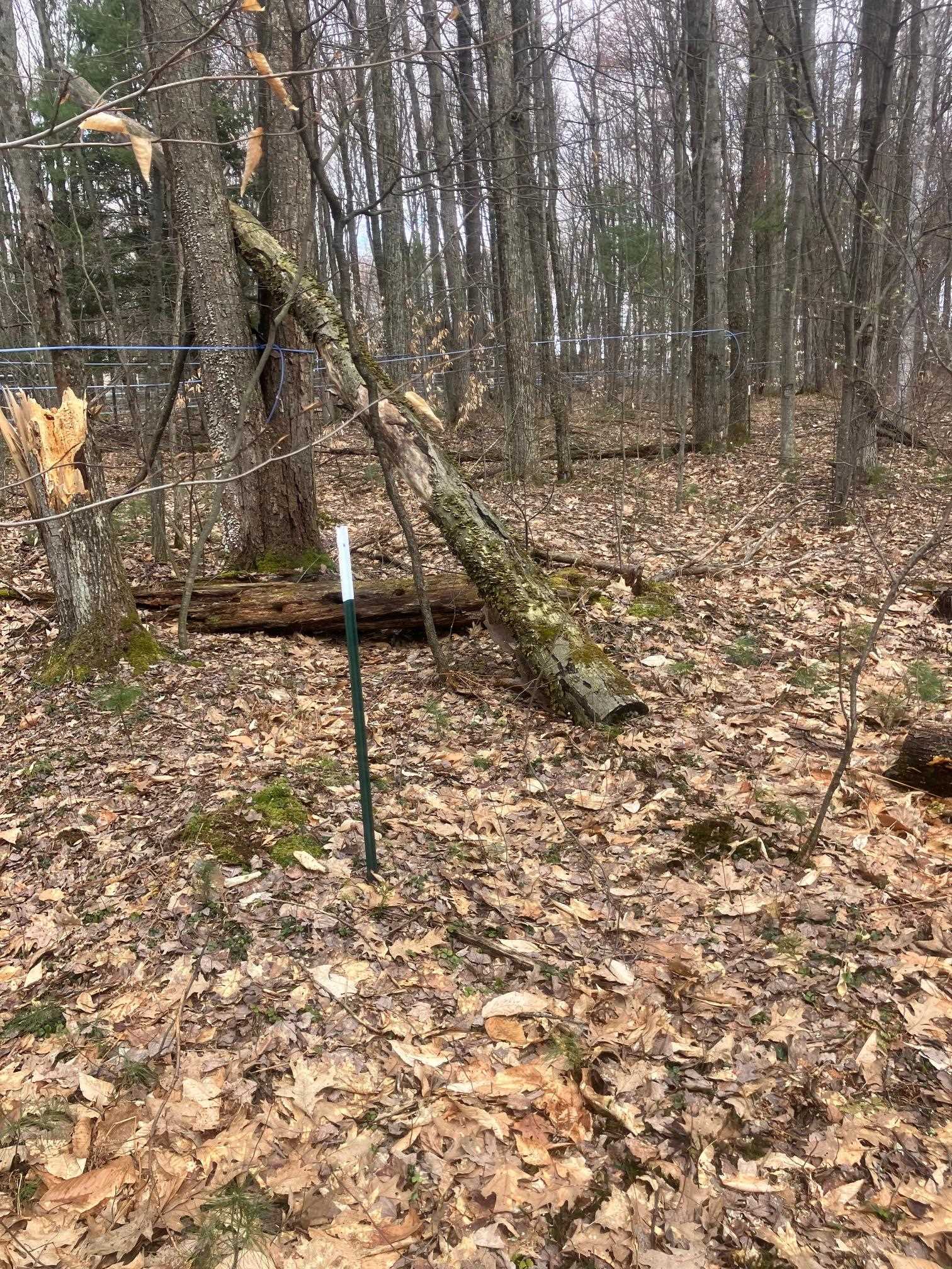 74 Jedware Circle Property Photo 20
