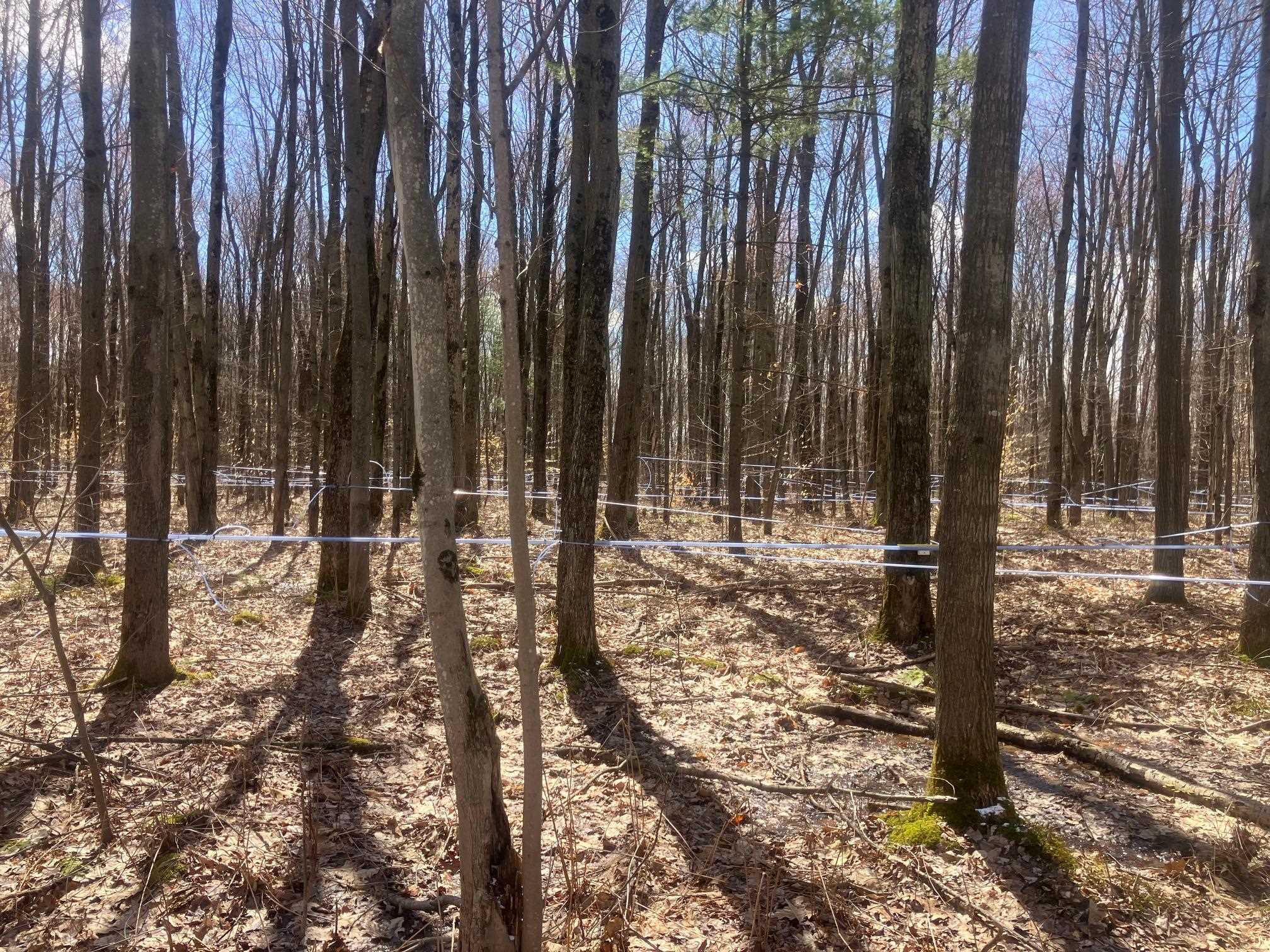 74 Jedware Circle Property Photo 24