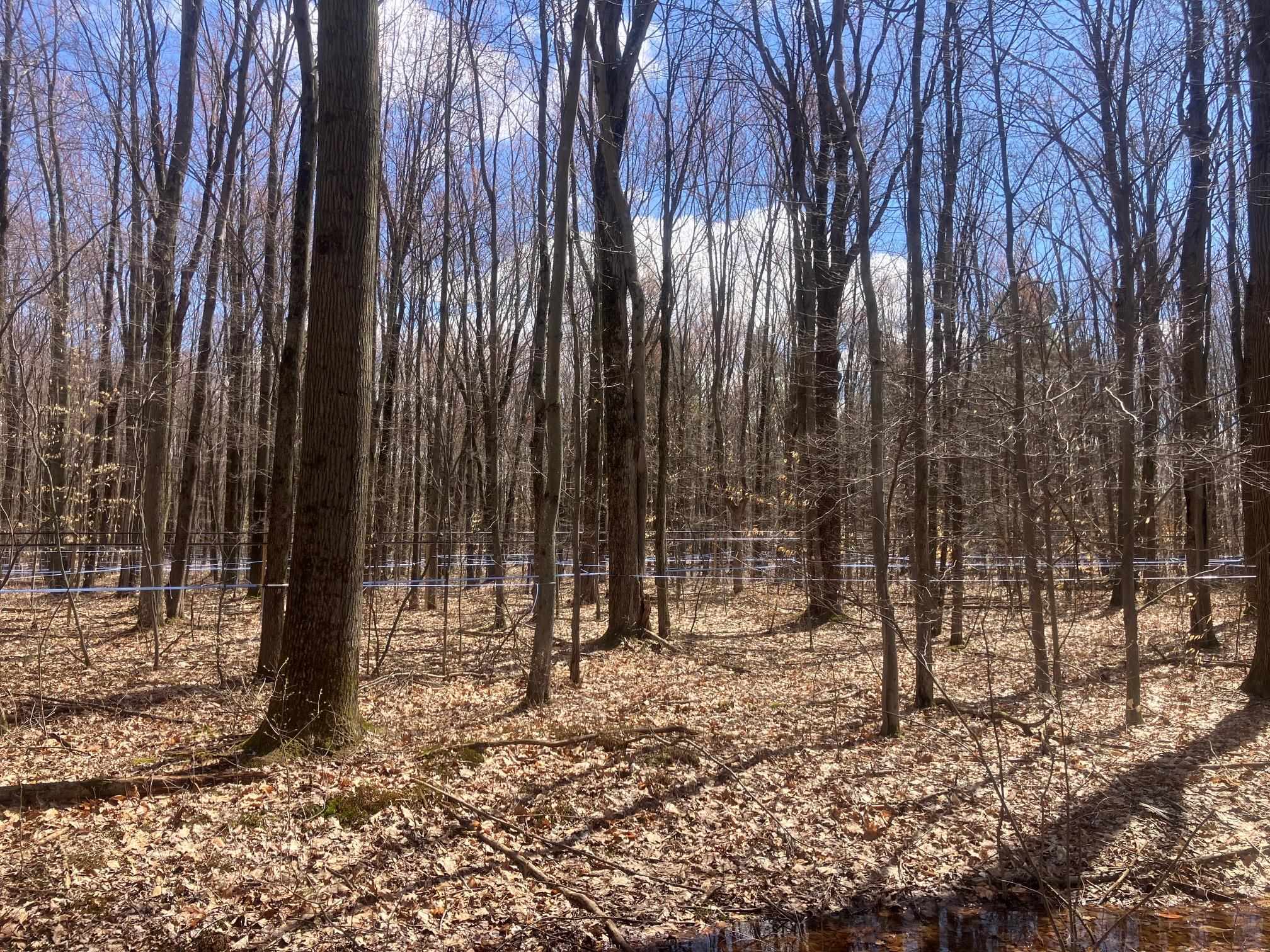 74 Jedware Circle Property Photo 26