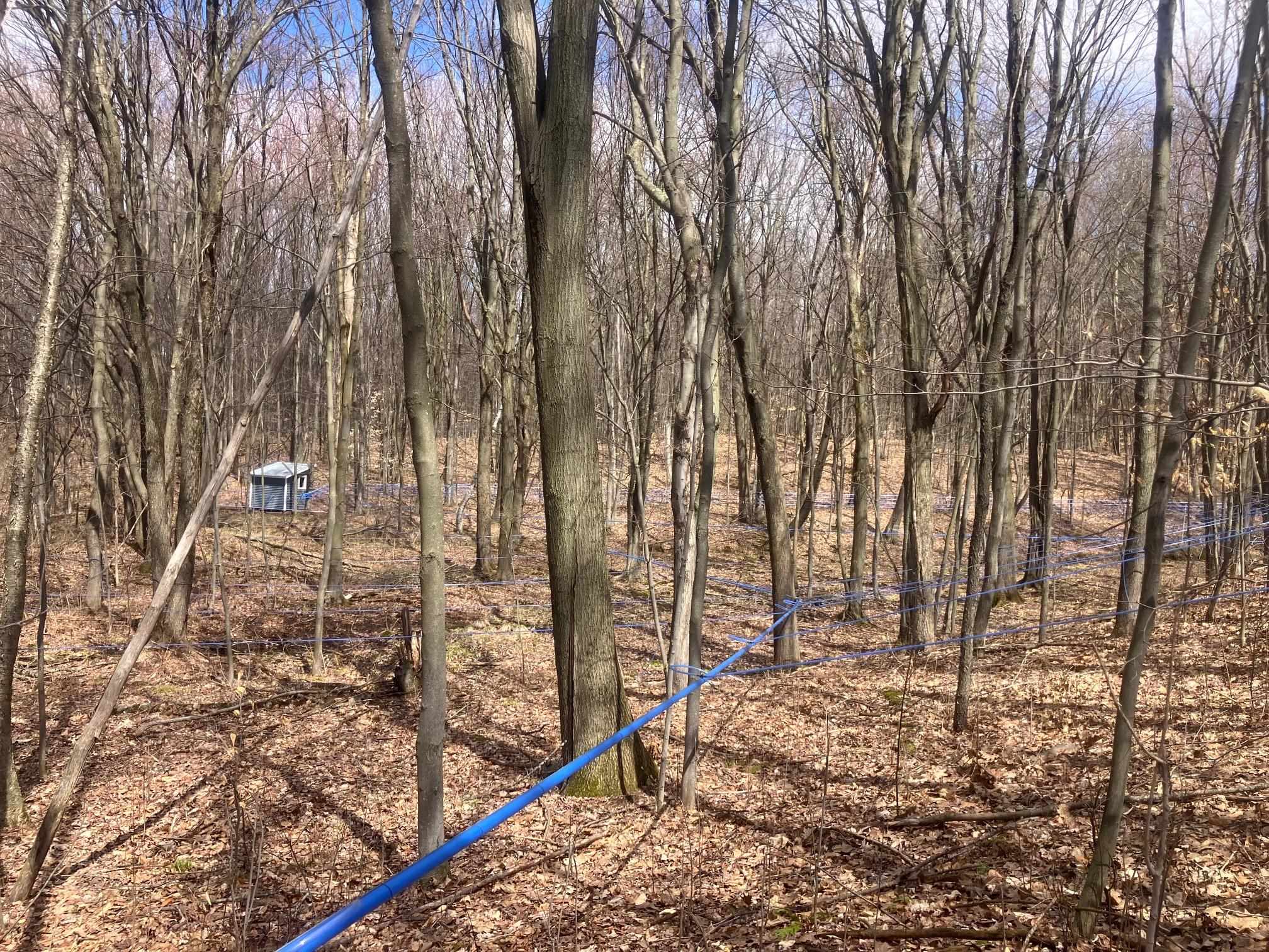 74 Jedware Circle Property Photo 28