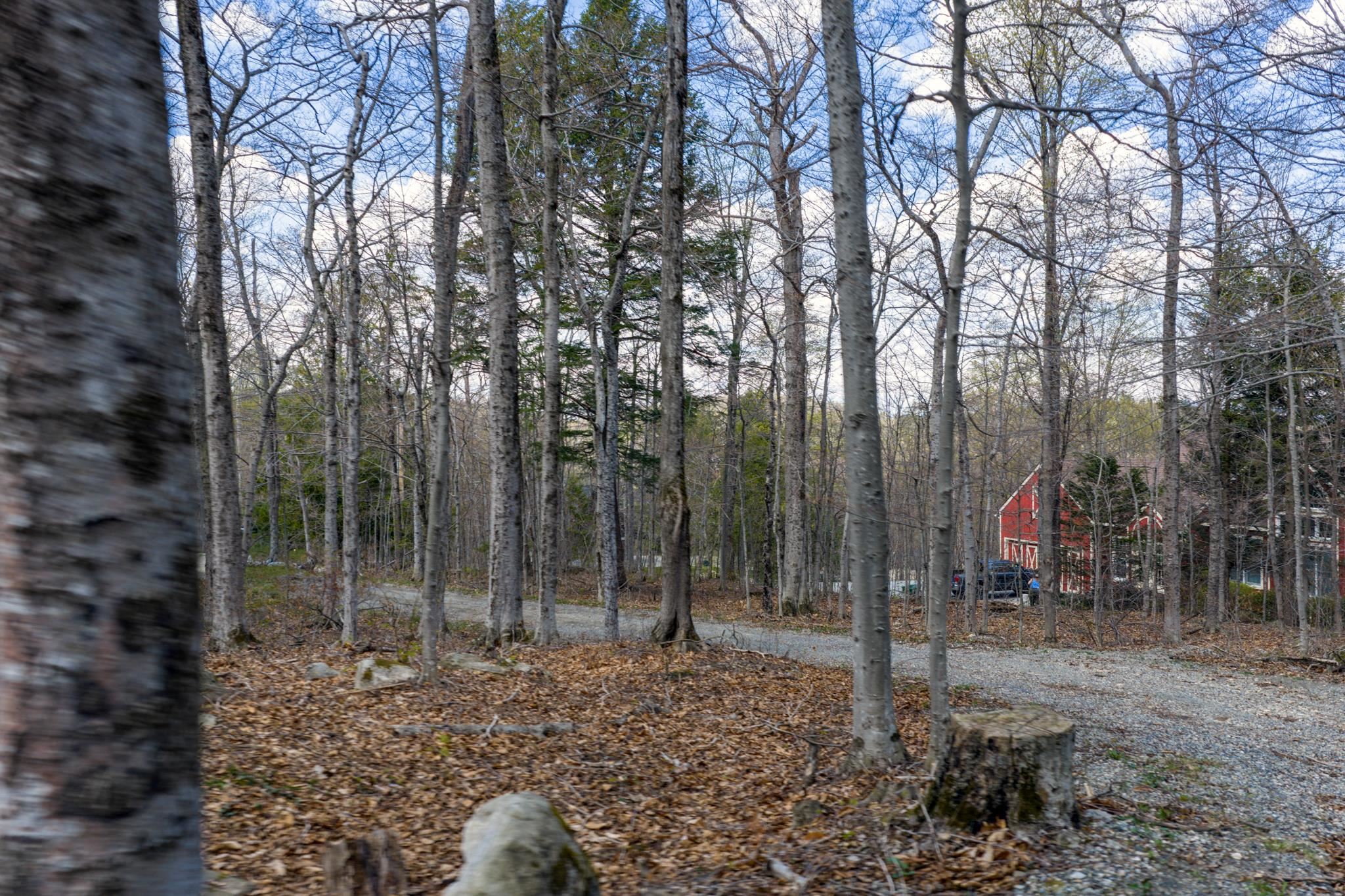 19 Maple Hill Road Property Photo 32