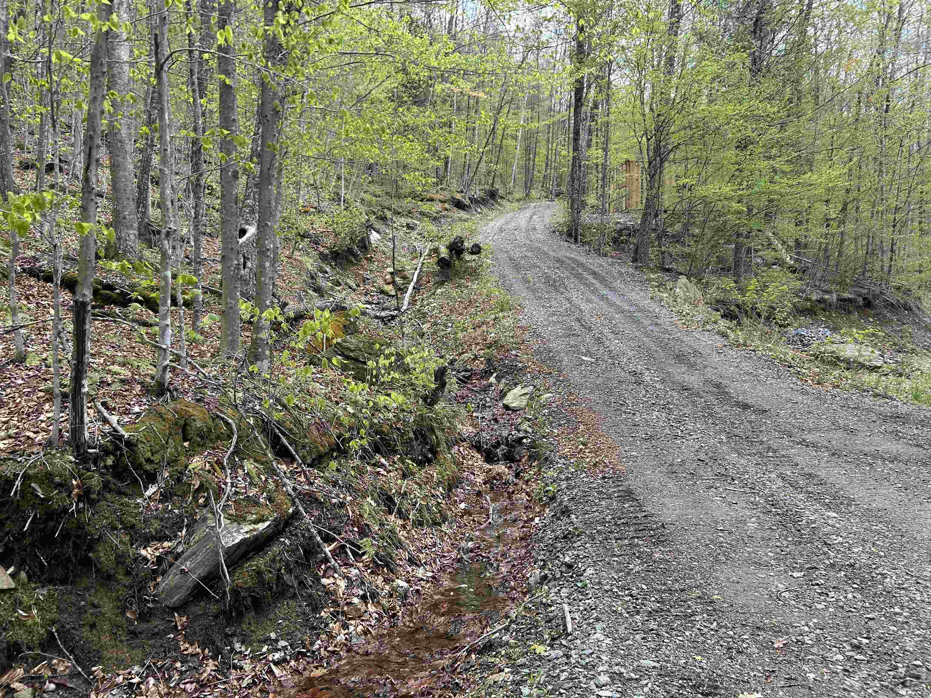 188 Rattlesnake Mountain Road Property Photo 3