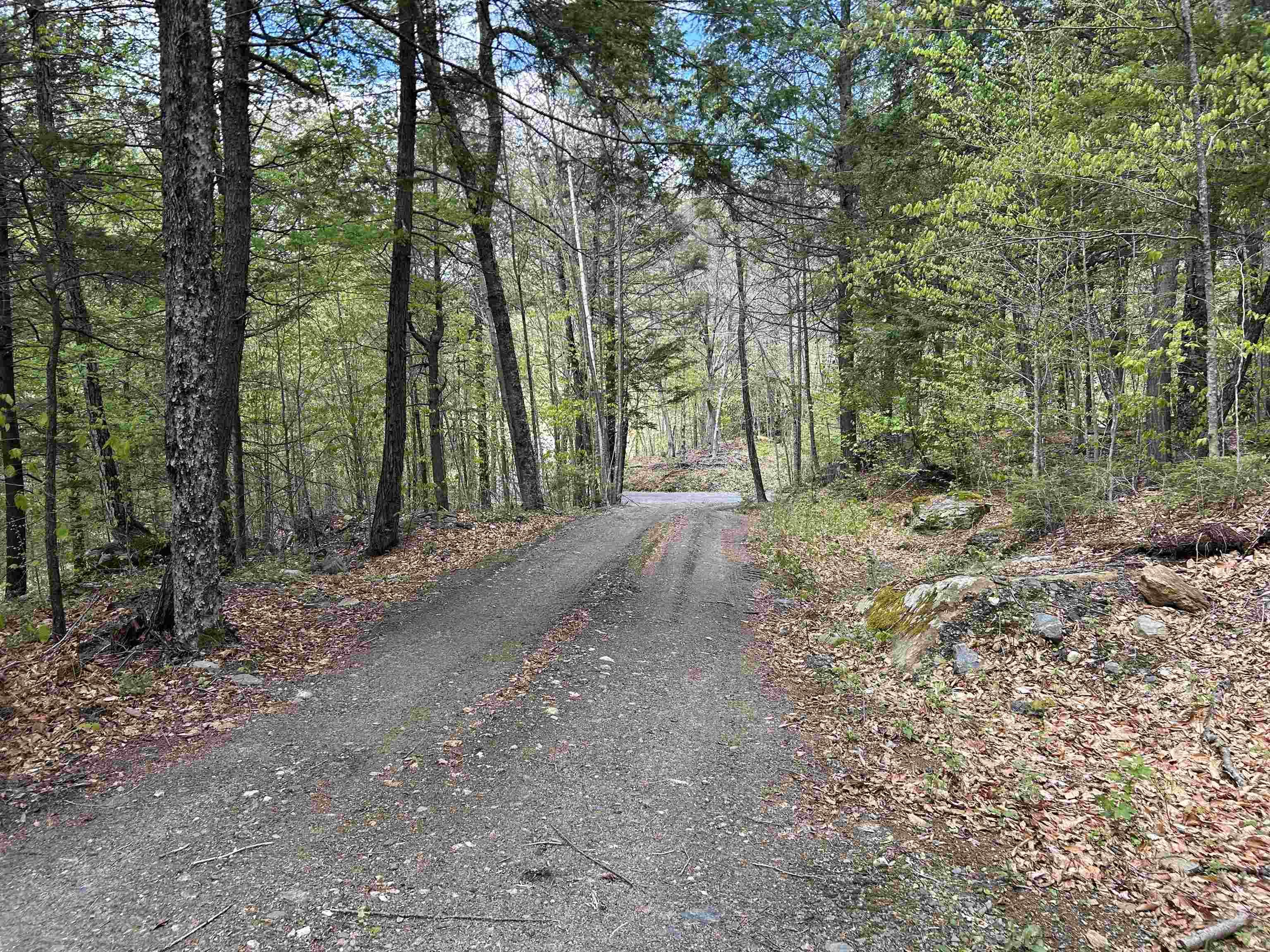 188 Rattlesnake Mountain Road Property Photo 4