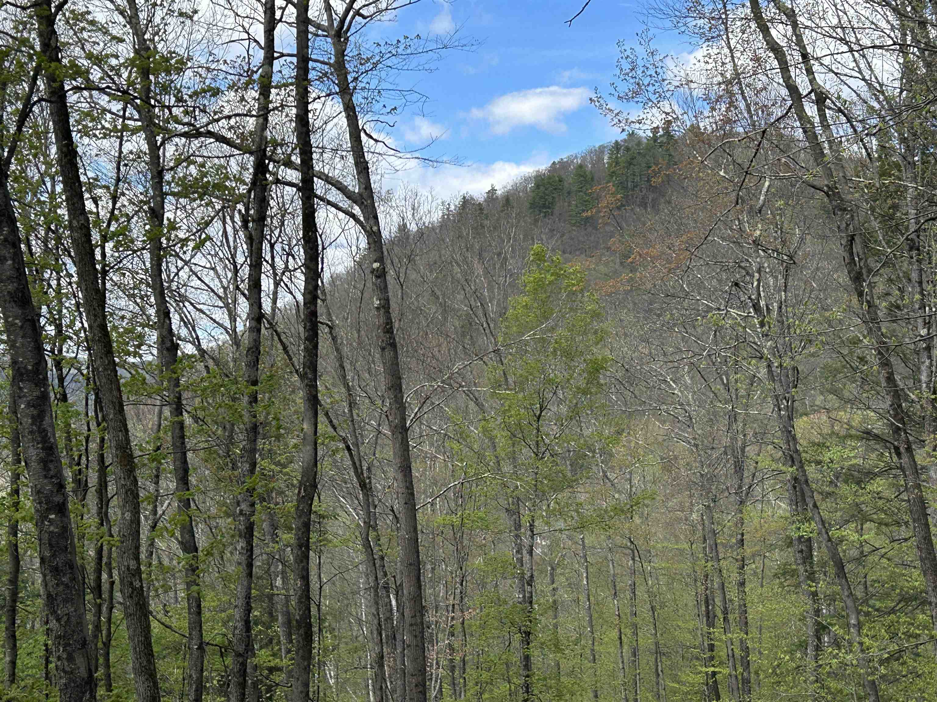 188 Rattlesnake Mountain Road Property Photo 6