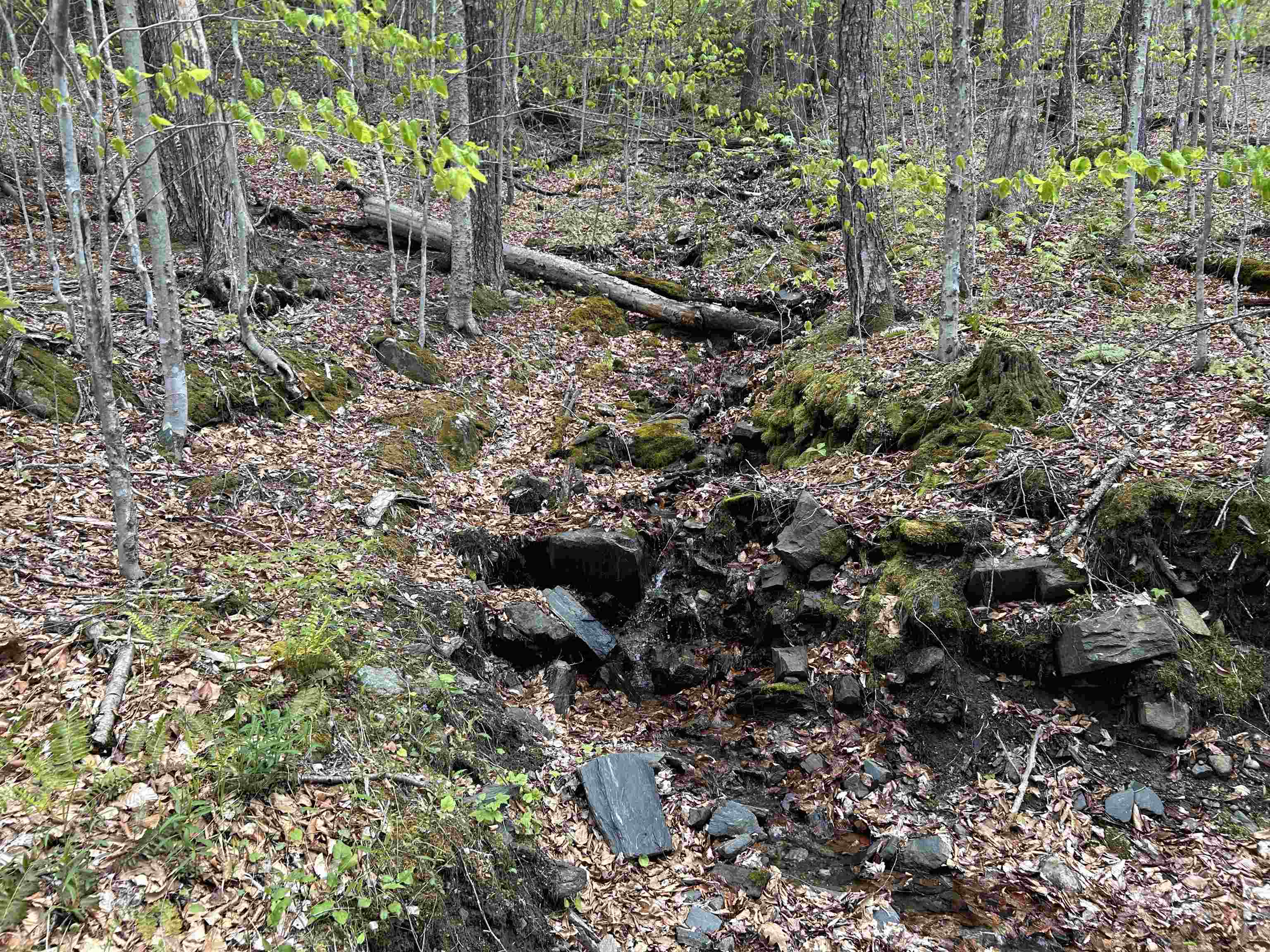188 Rattlesnake Mountain Road Property Photo 7
