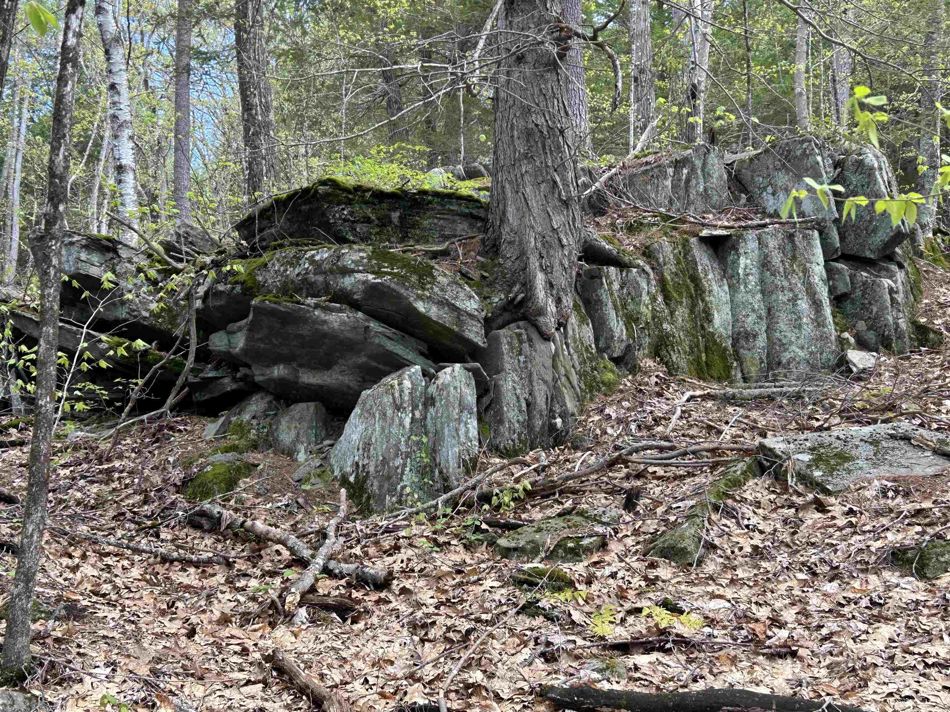 188 Rattlesnake Mountain Road Property Photo 8