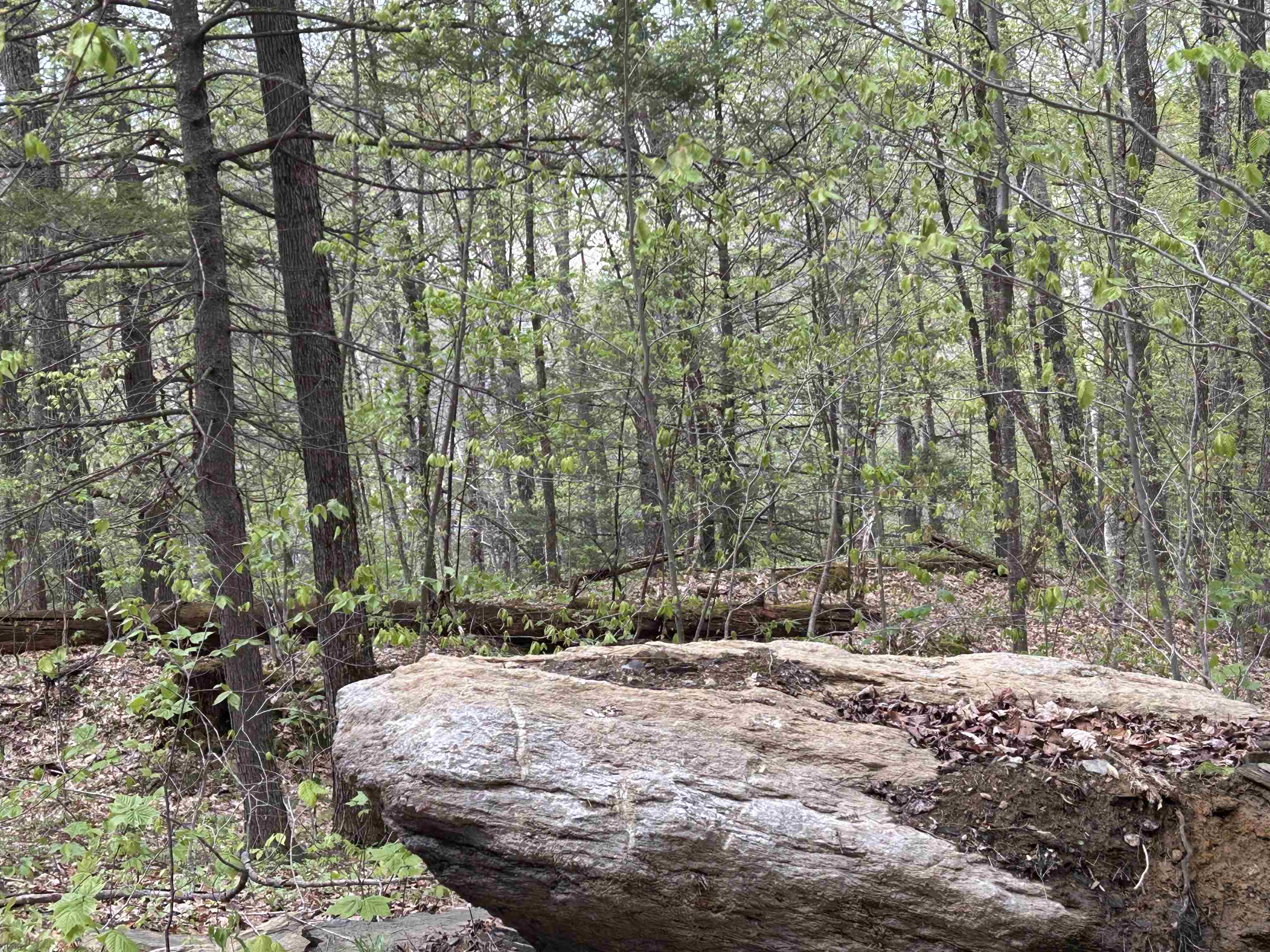 188 Rattlesnake Mountain Road Property Photo 9