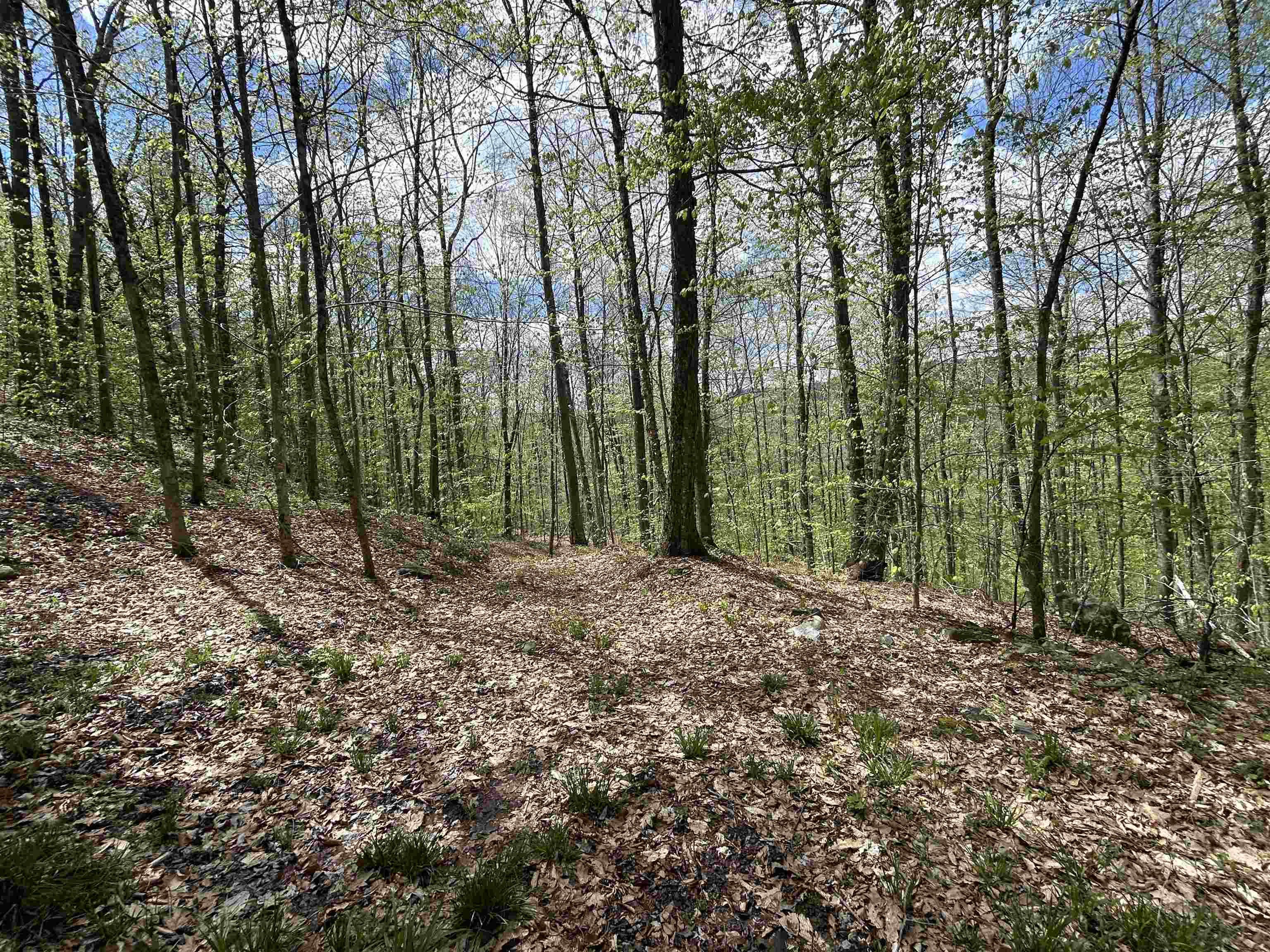 188 Rattlesnake Mountain Road Property Photo 12