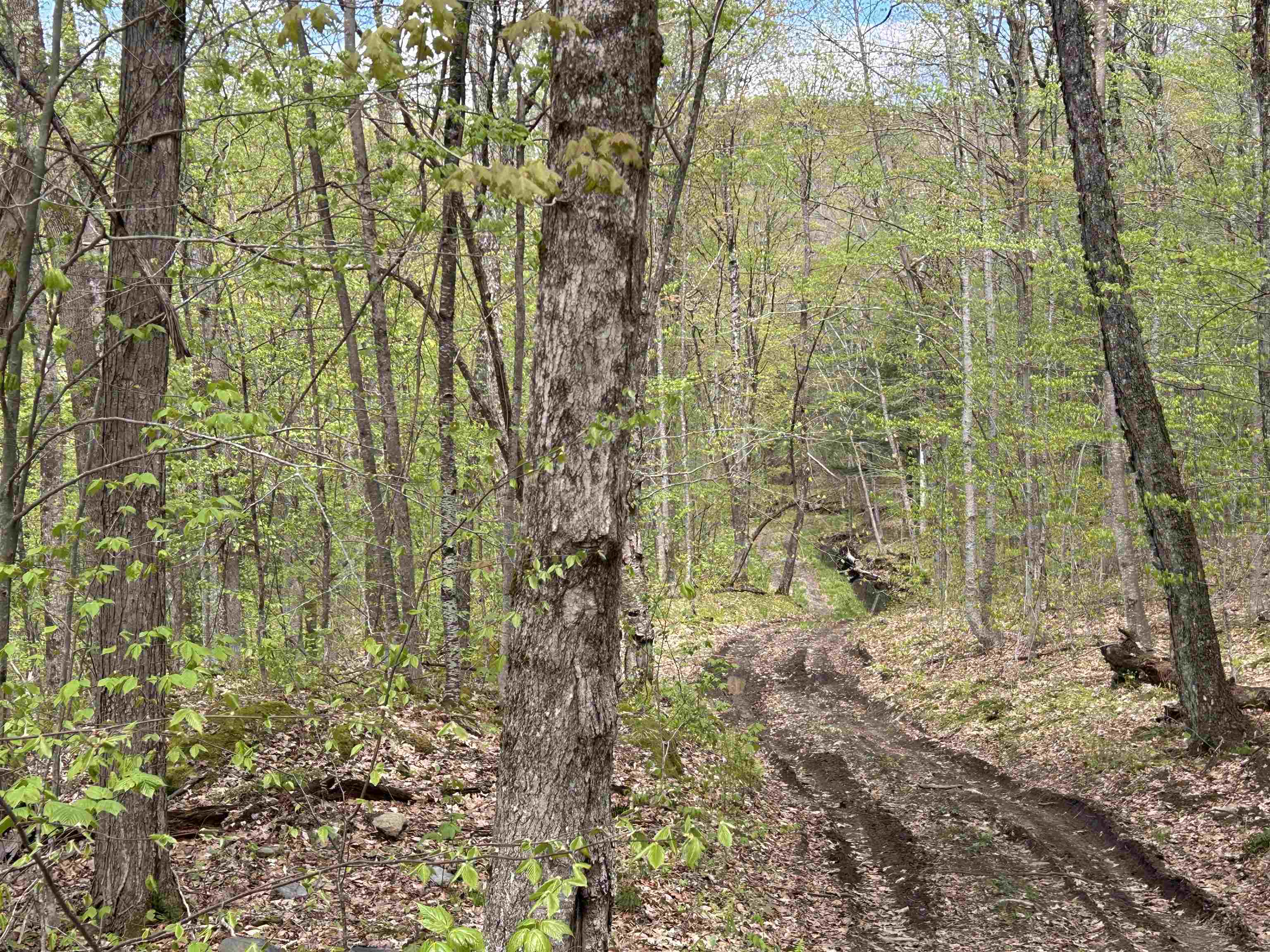 188 Rattlesnake Mountain Road Property Photo 14