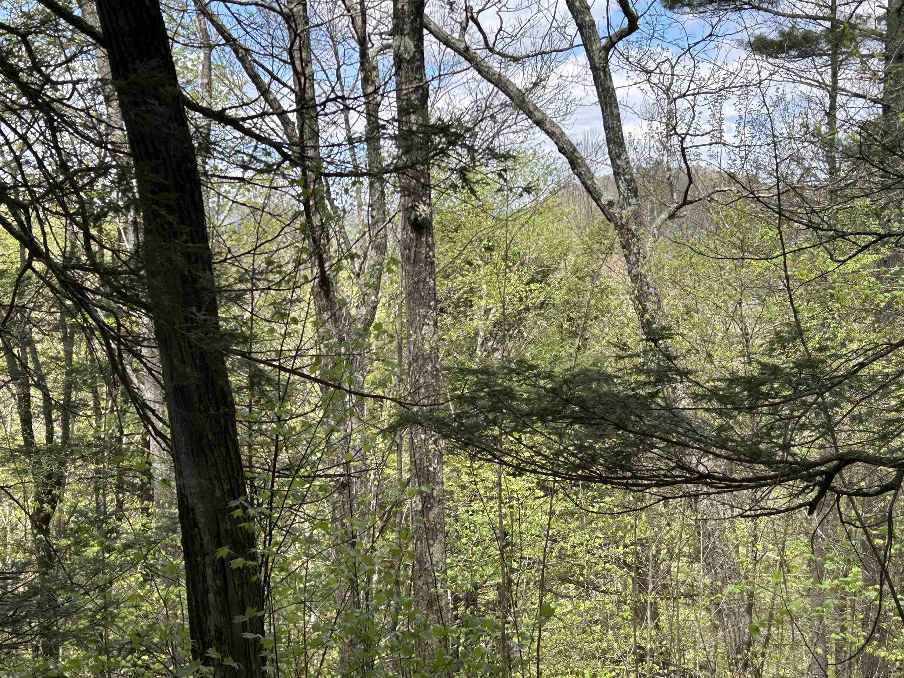 188 Rattlesnake Mountain Road Property Photo 16