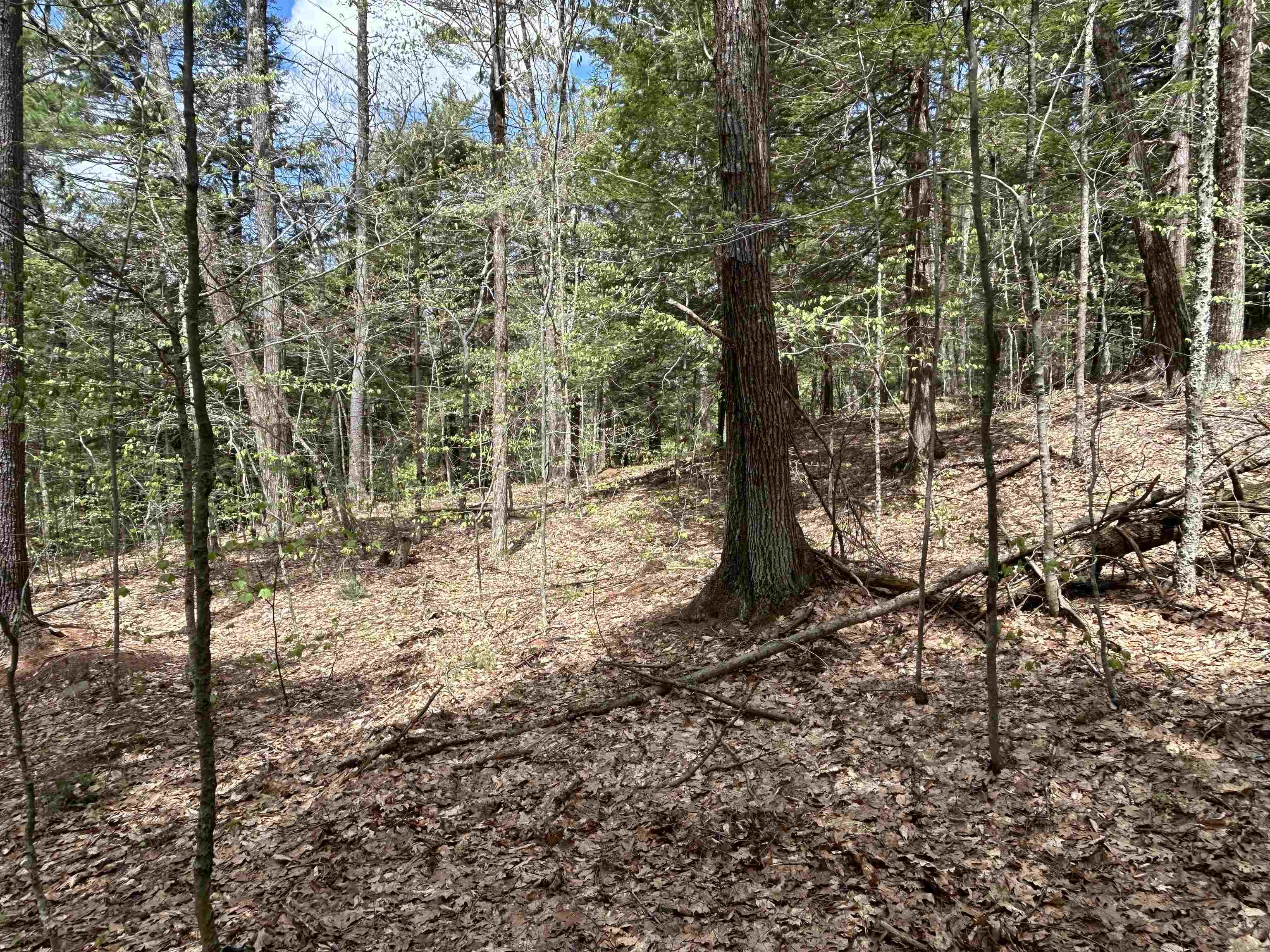 188 Rattlesnake Mountain Road Property Photo 17