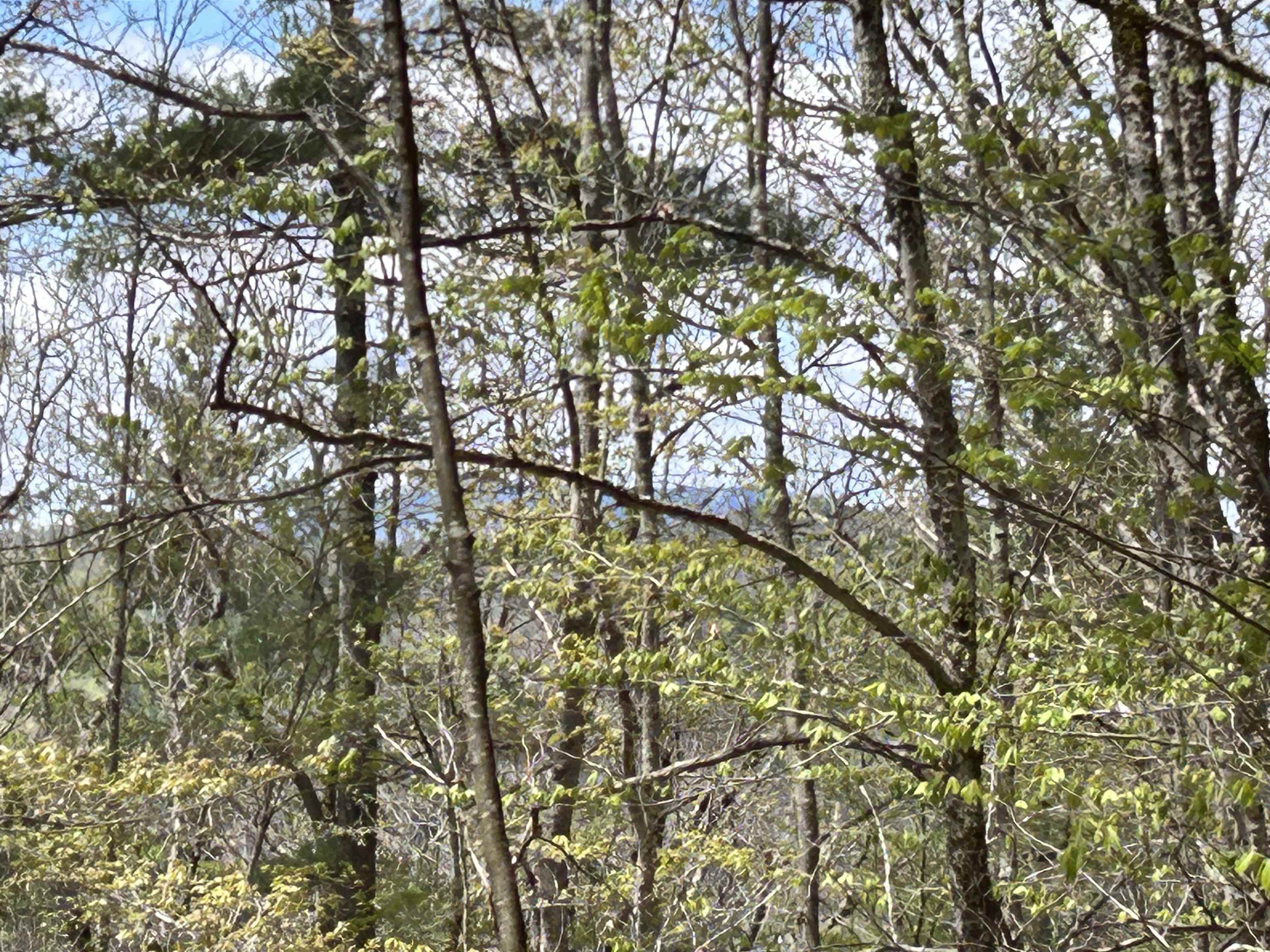 188 Rattlesnake Mountain Road Property Photo 18