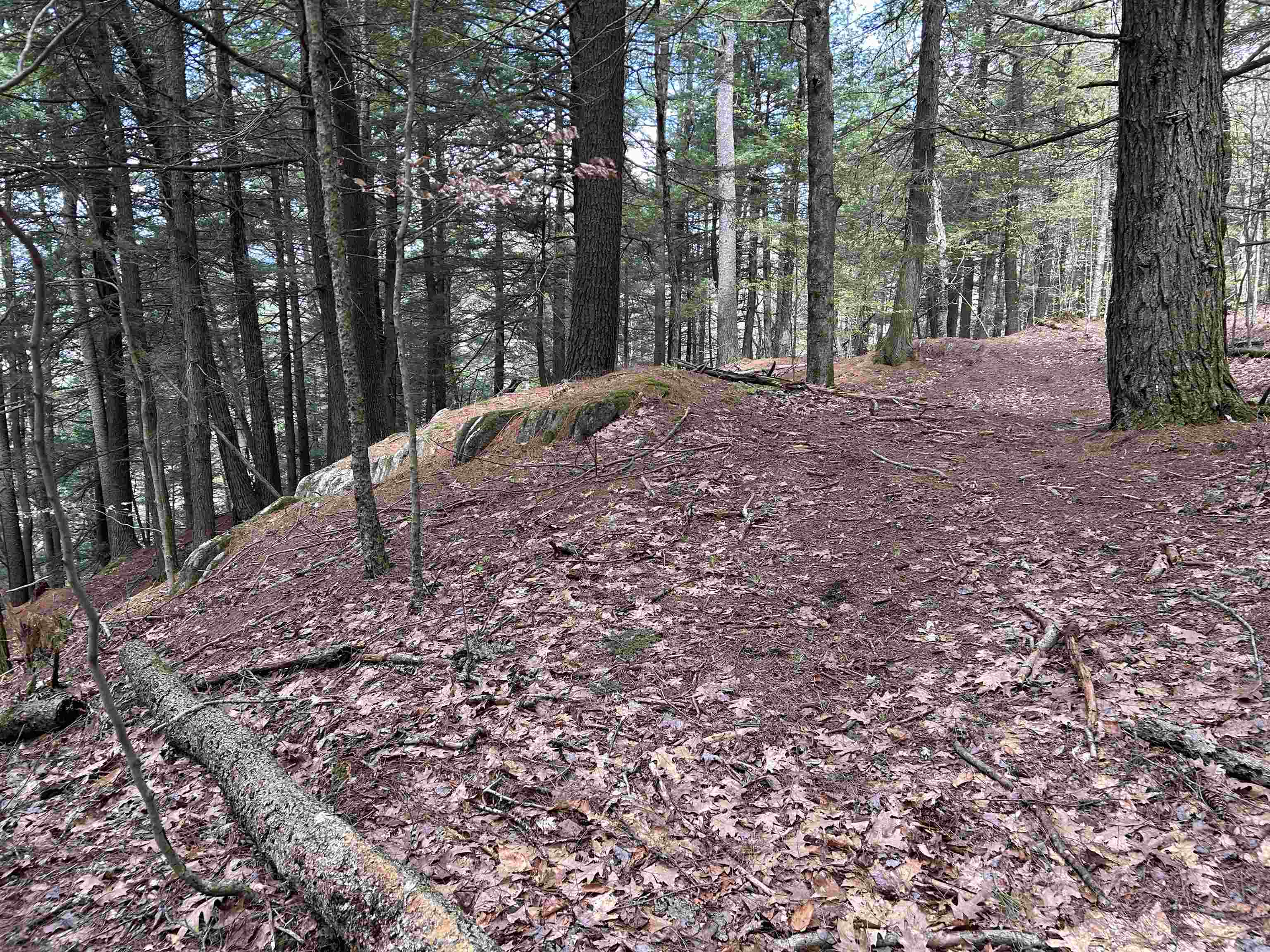 188 Rattlesnake Mountain Road Property Photo 21