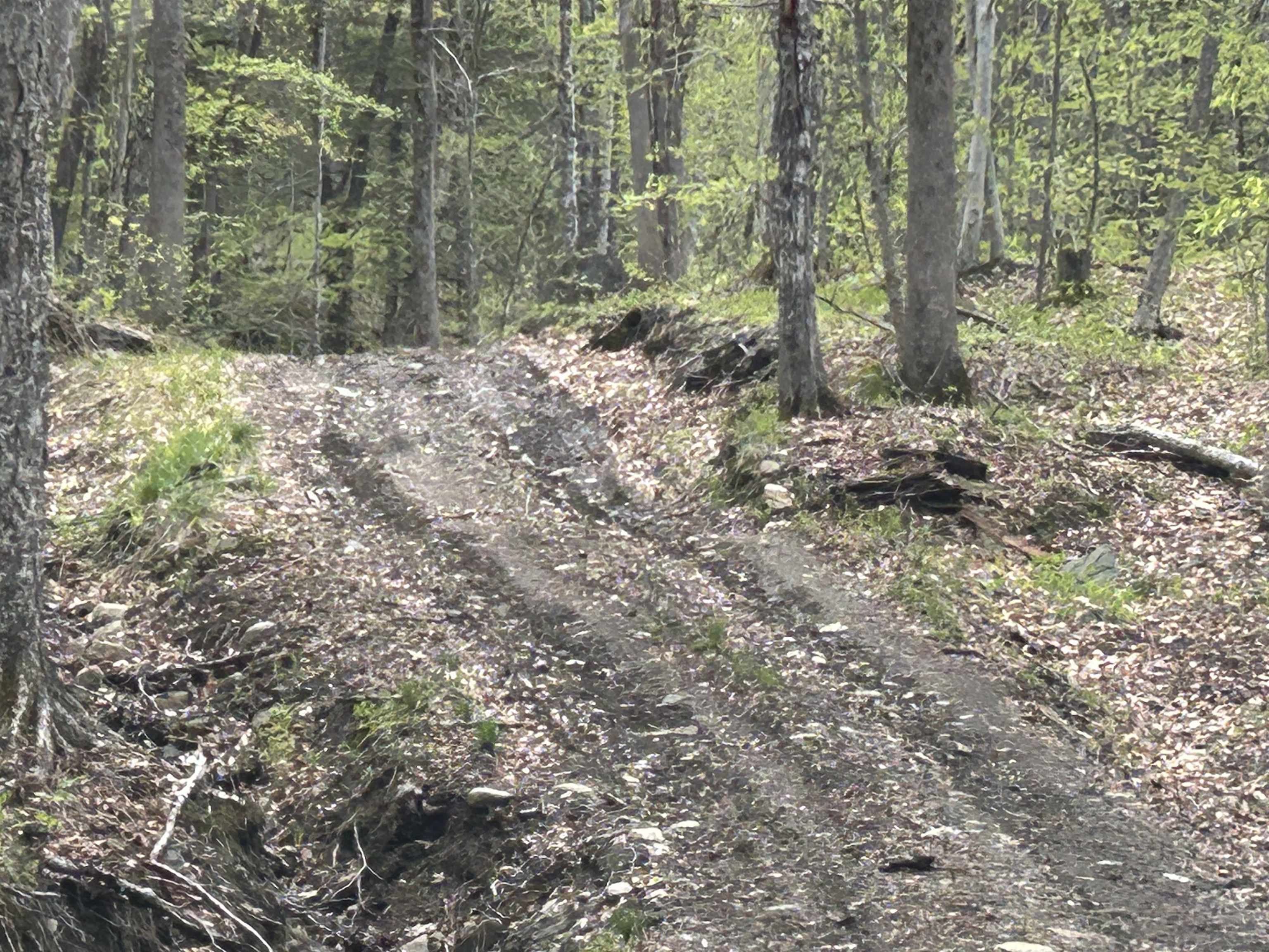 188 Rattlesnake Mountain Road Property Photo 22