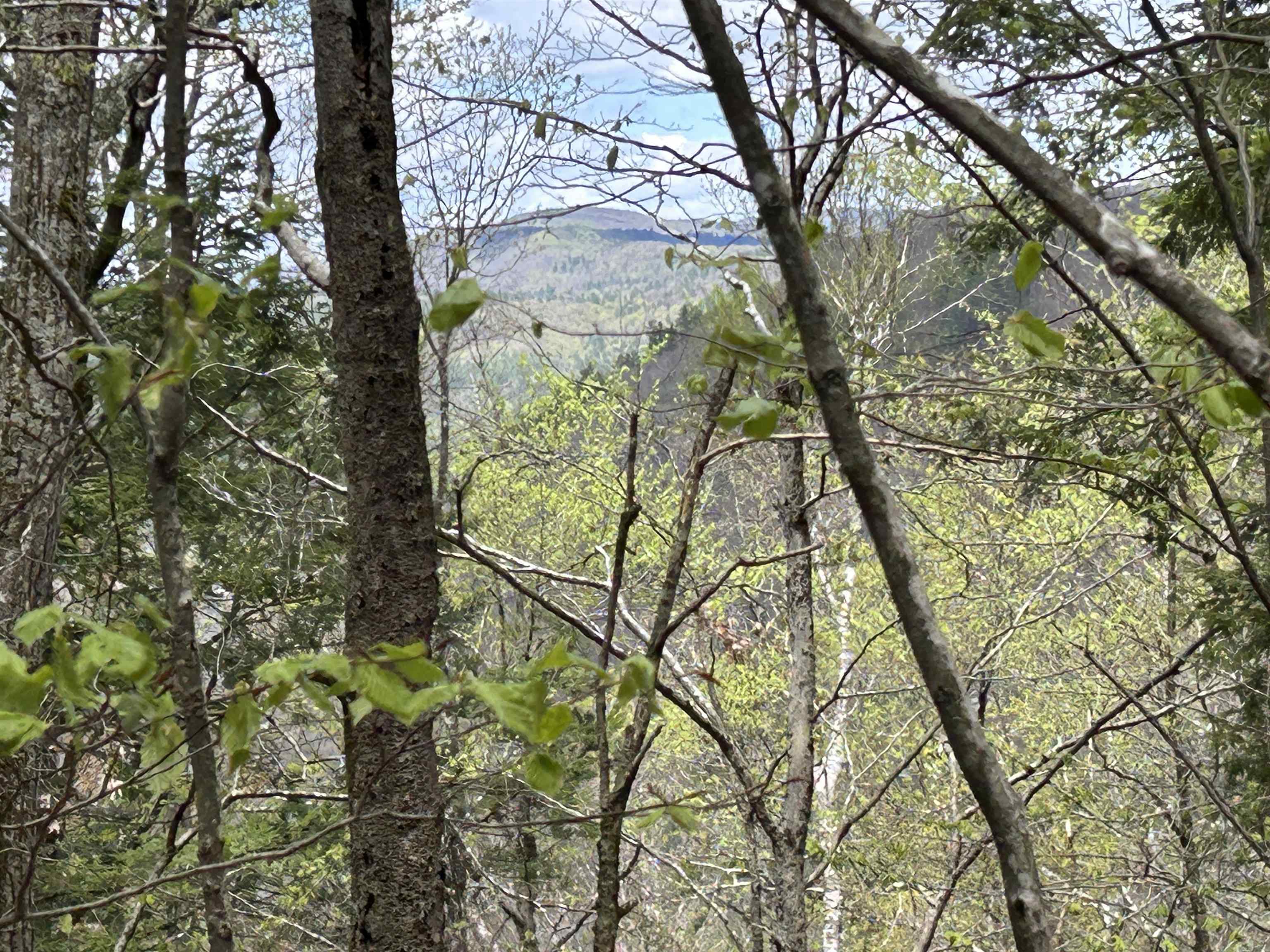 188 Rattlesnake Mountain Road Property Photo 24