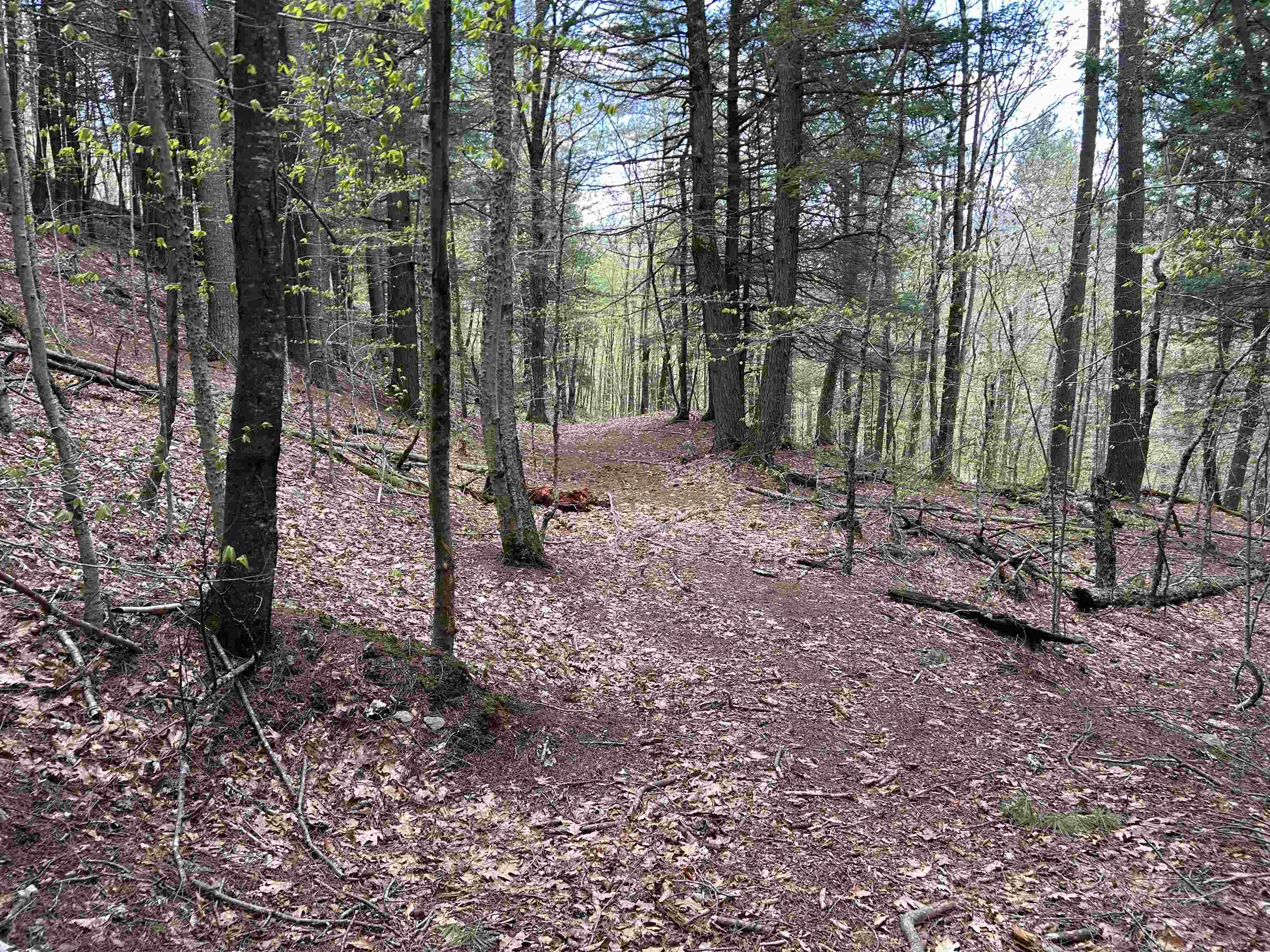 188 Rattlesnake Mountain Road Property Photo 25