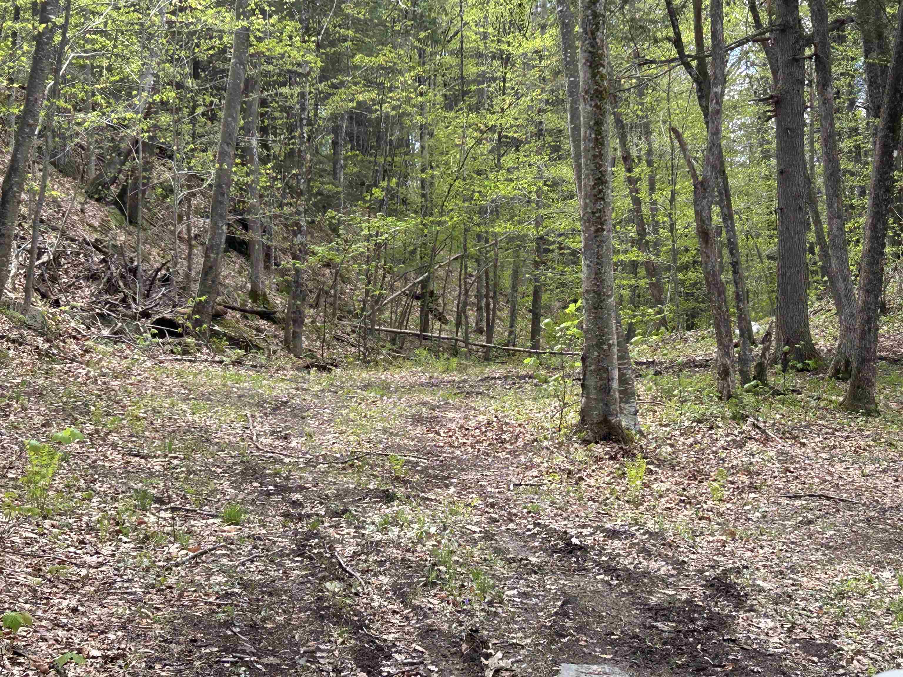 188 Rattlesnake Mountain Road Property Photo 26