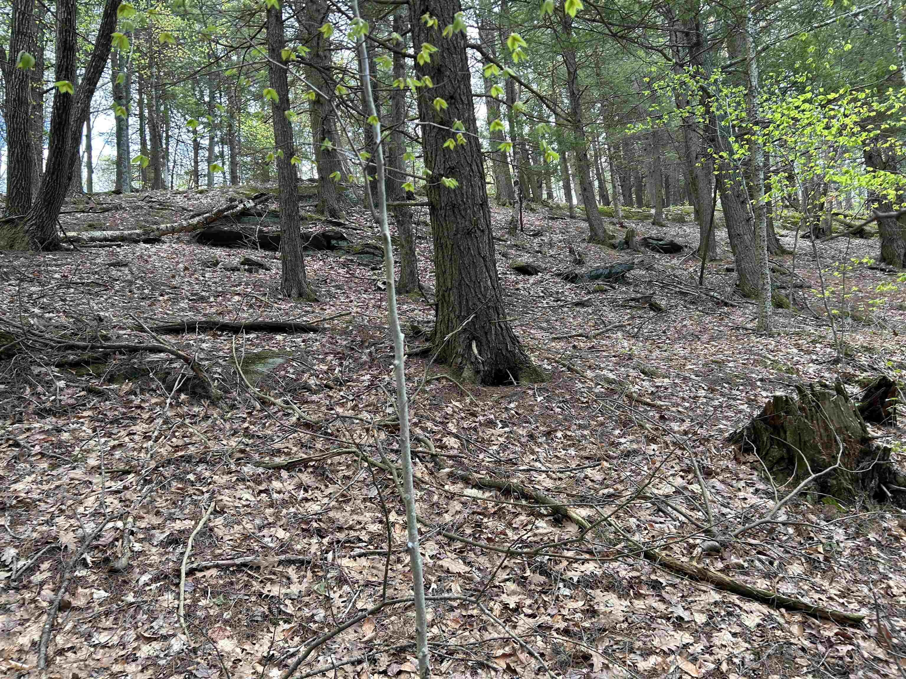 188 Rattlesnake Mountain Road Property Photo 27