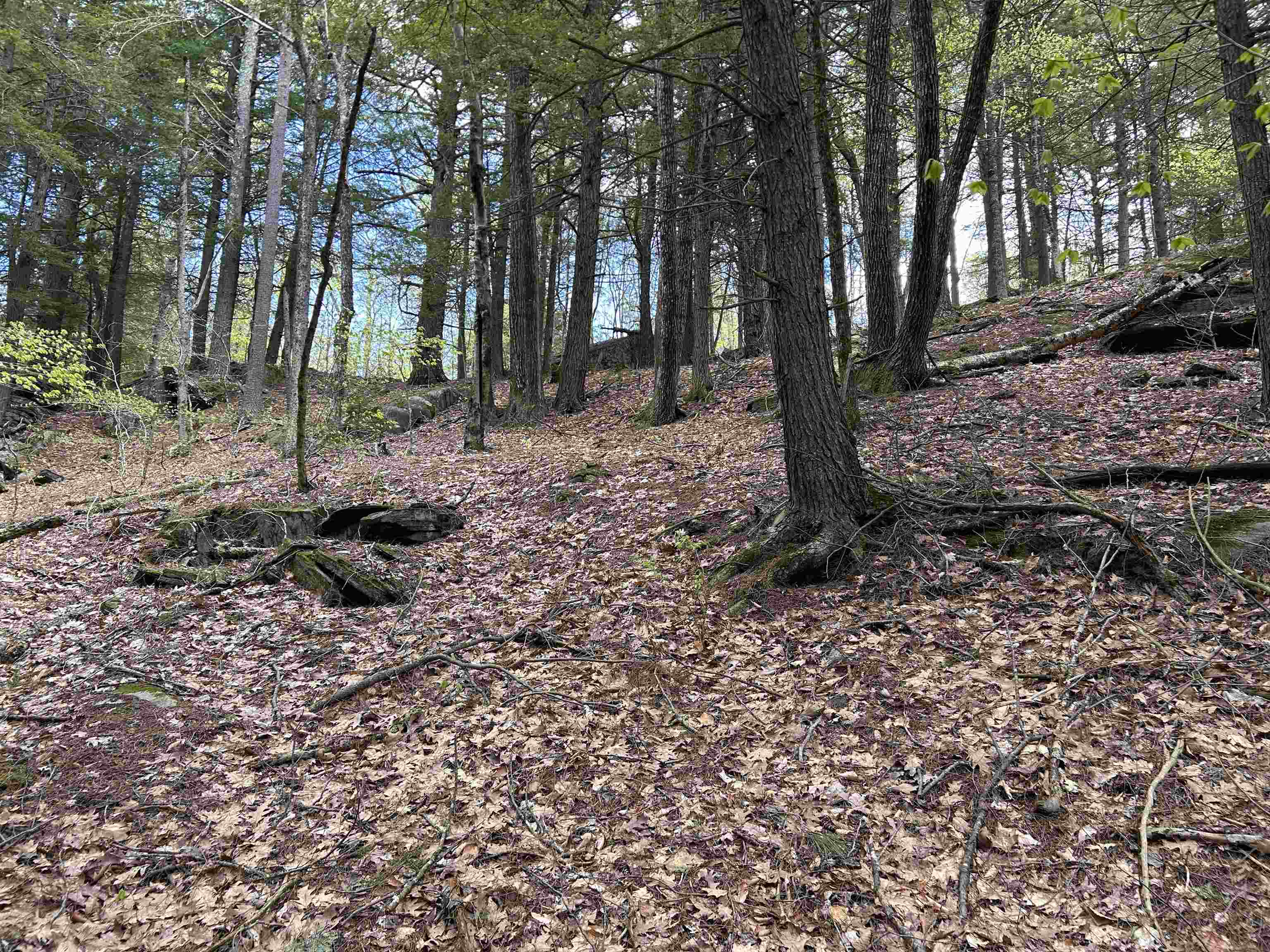 188 Rattlesnake Mountain Road Property Photo 28