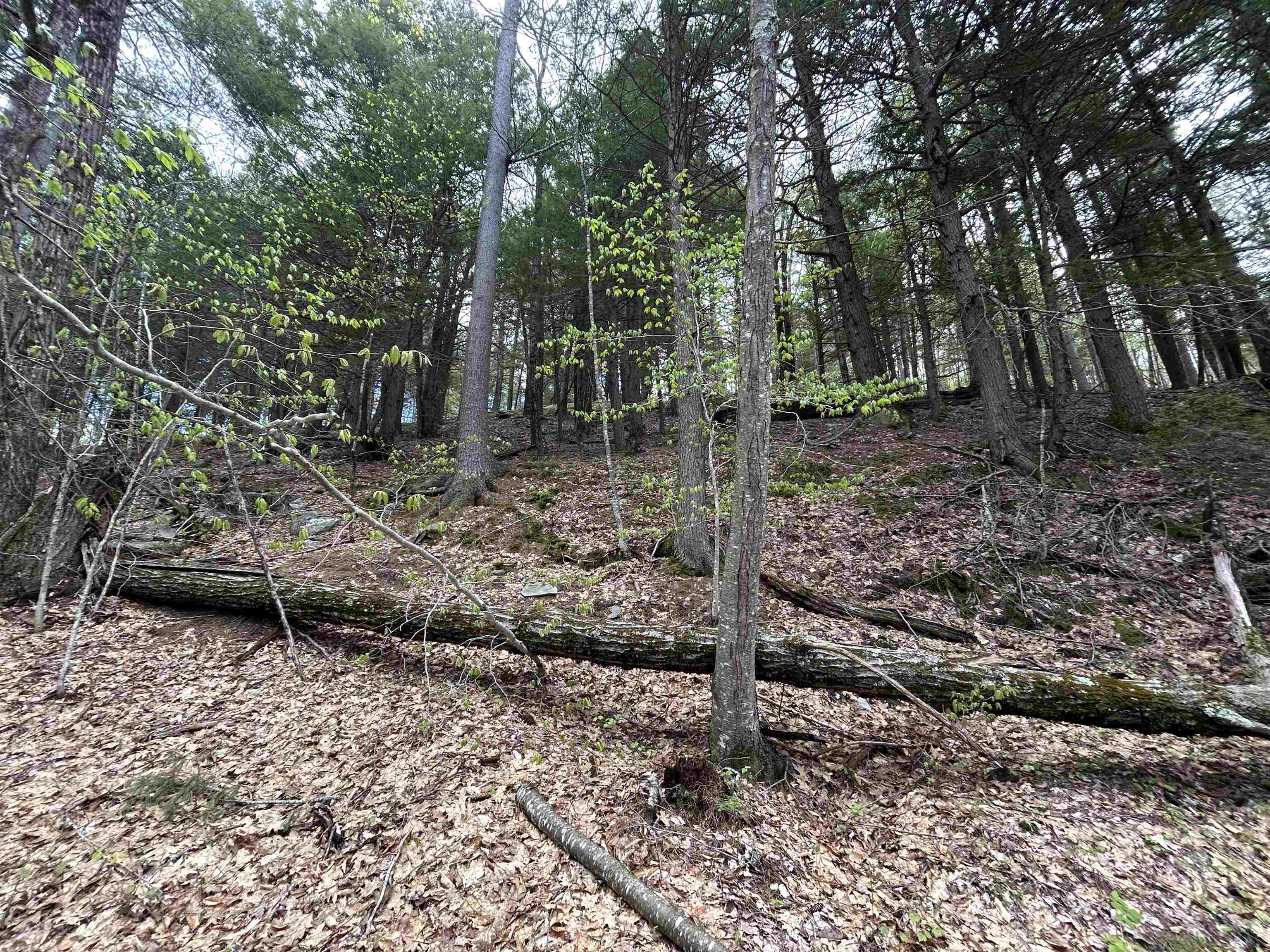 188 Rattlesnake Mountain Road Property Photo 29
