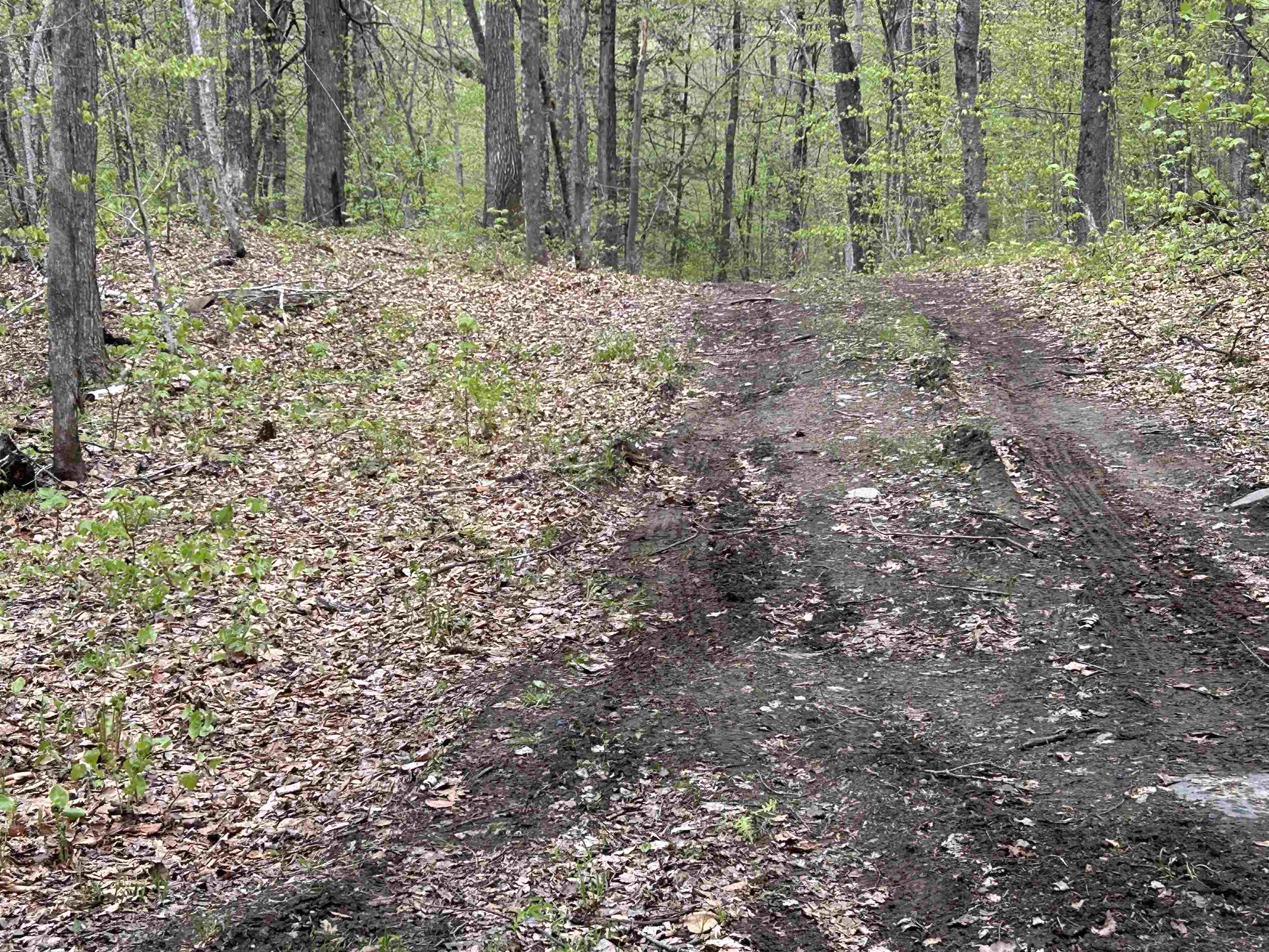 188 Rattlesnake Mountain Road Property Photo 30